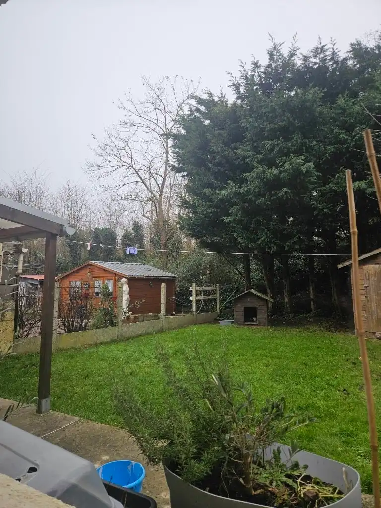 image-7