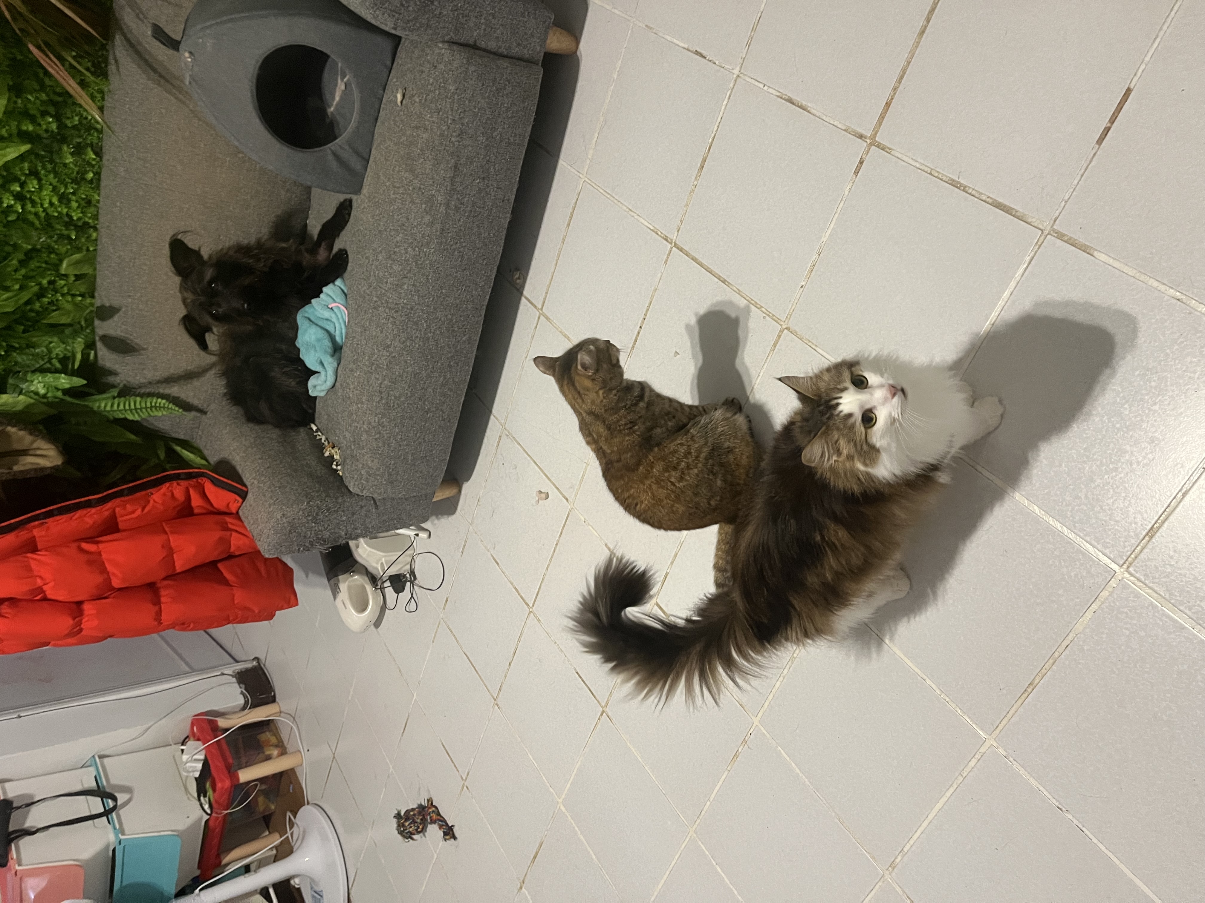 image-8