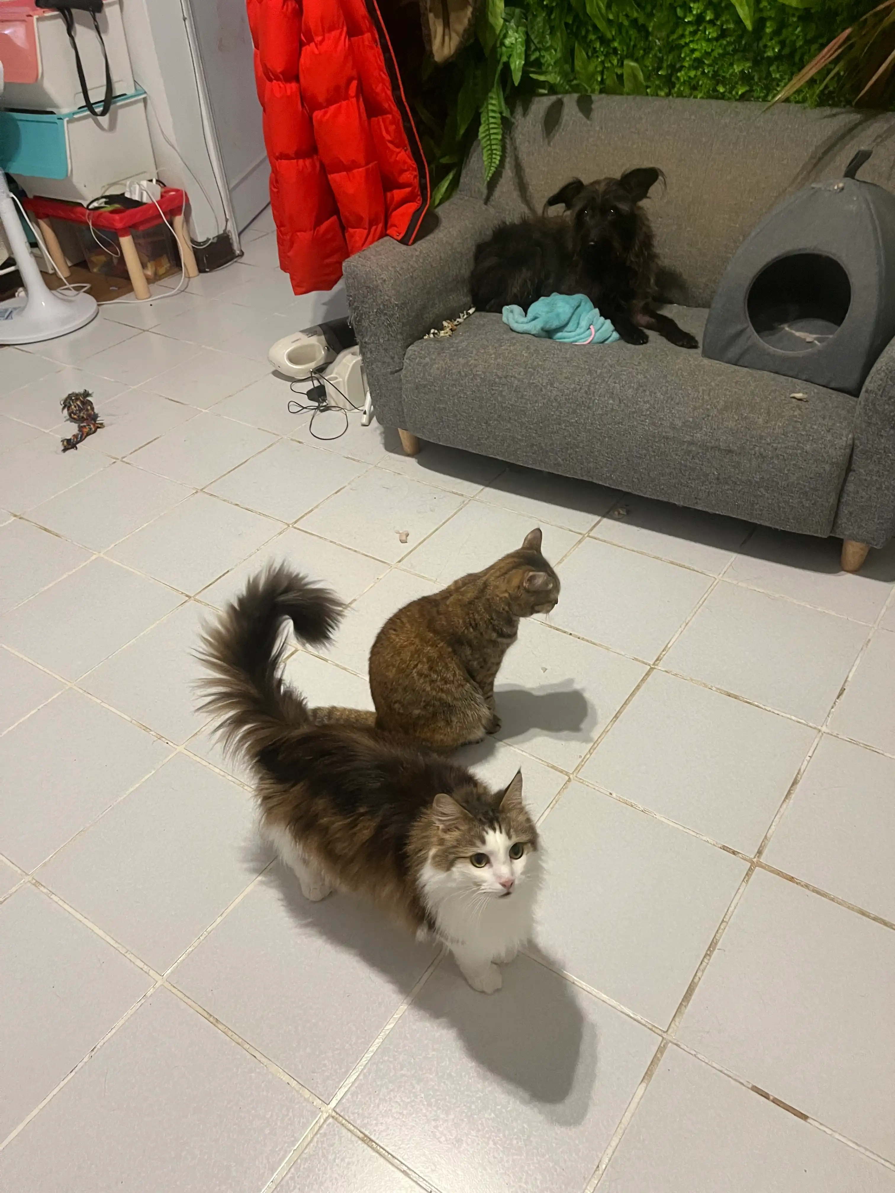 image-8