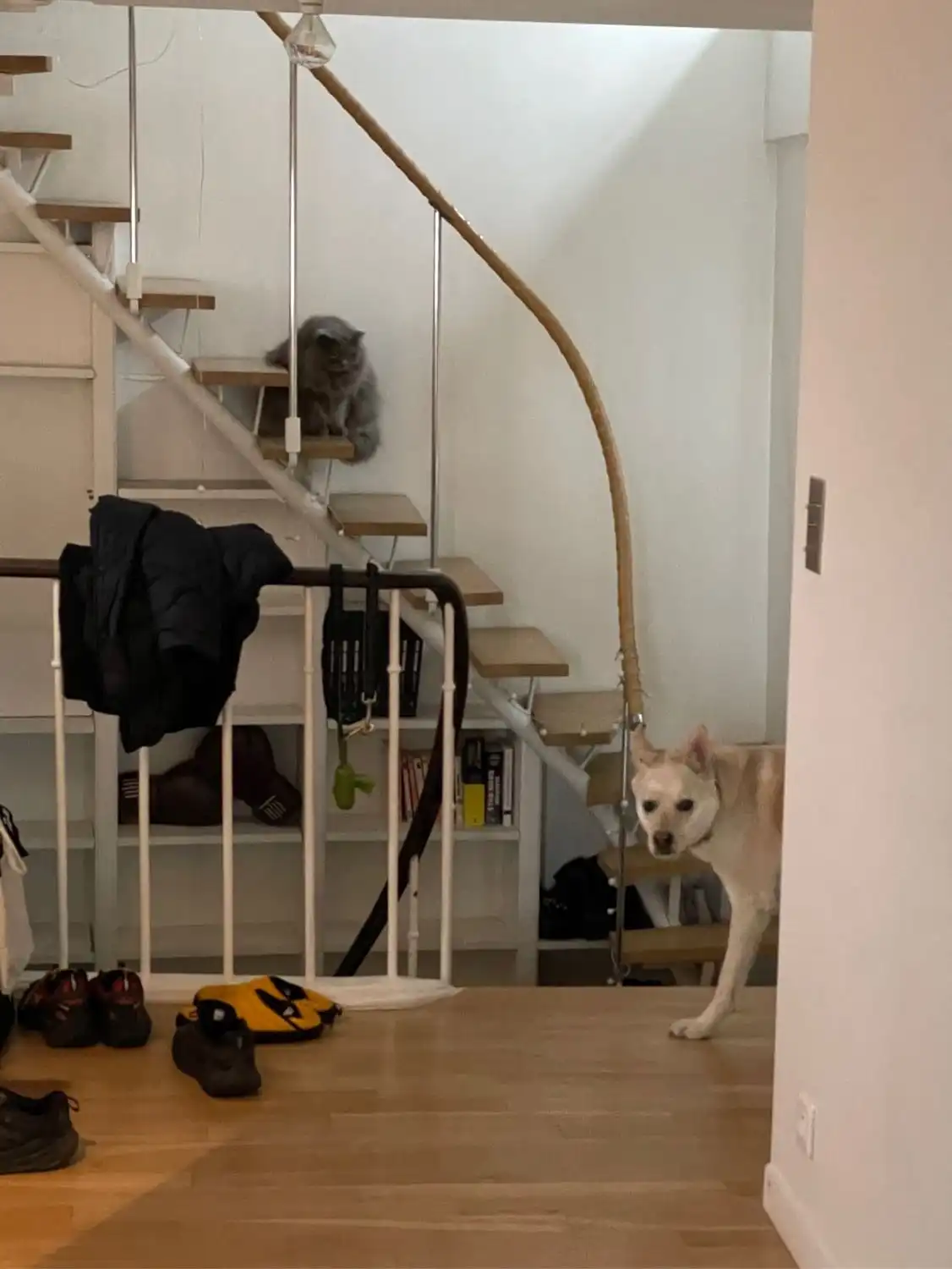 image-9