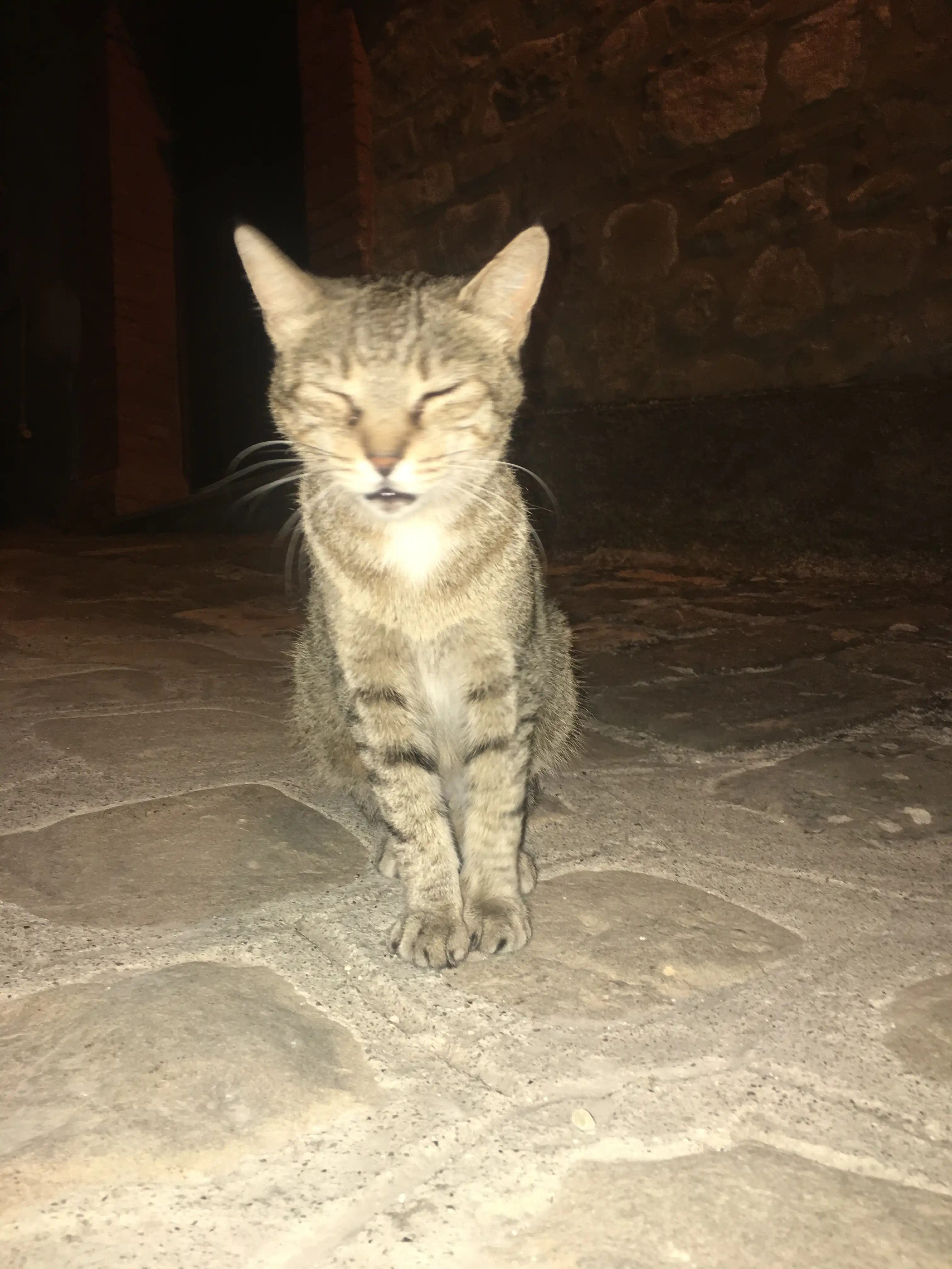 image-7