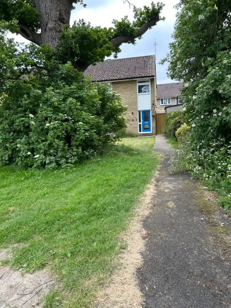 image-9