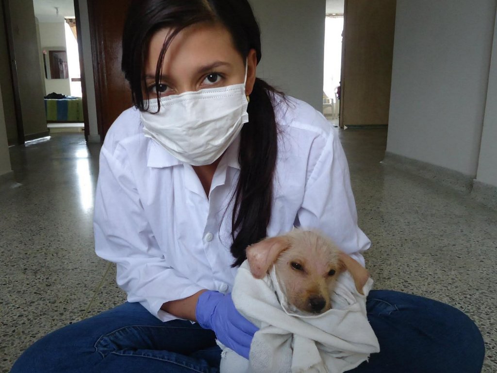 image-4