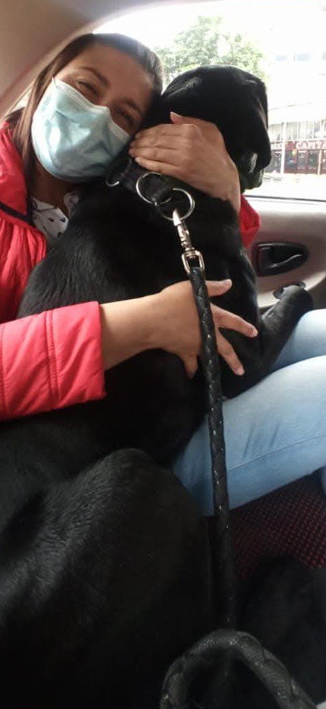 image-8