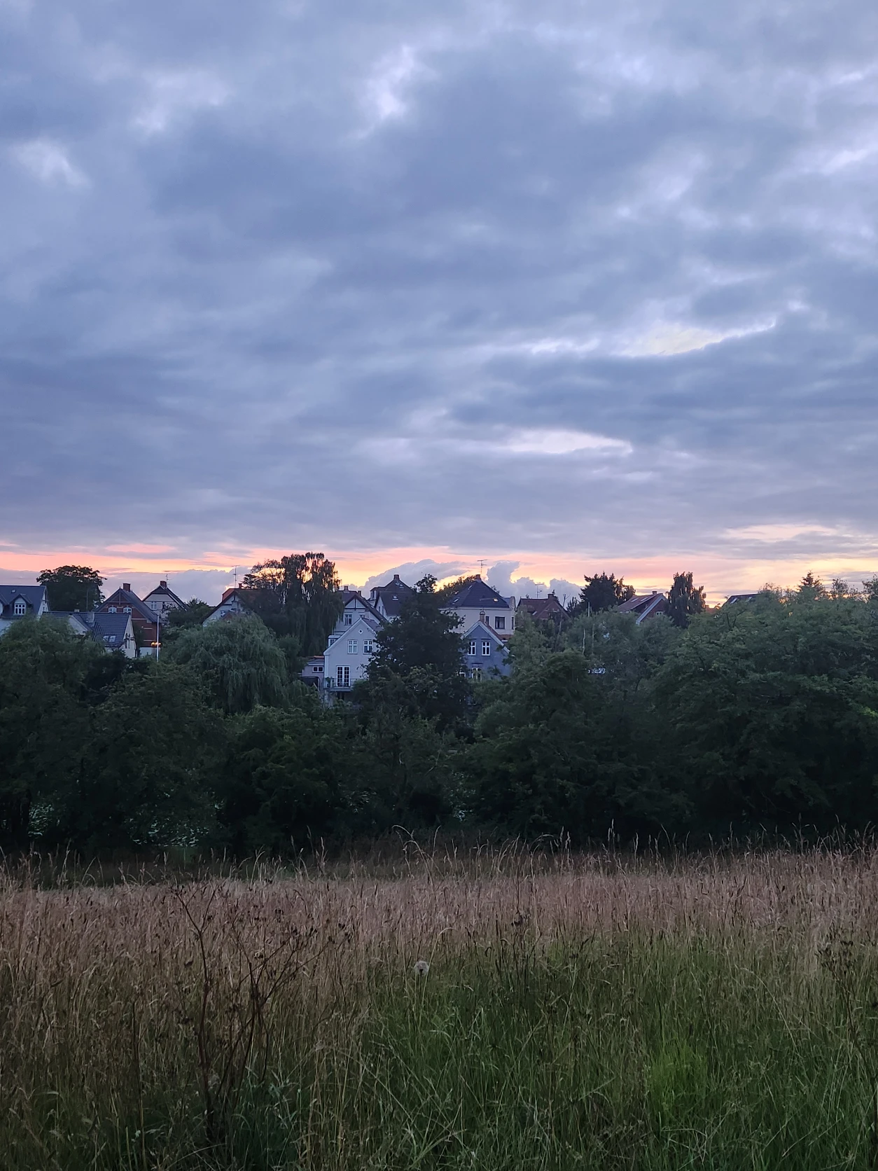 image-25