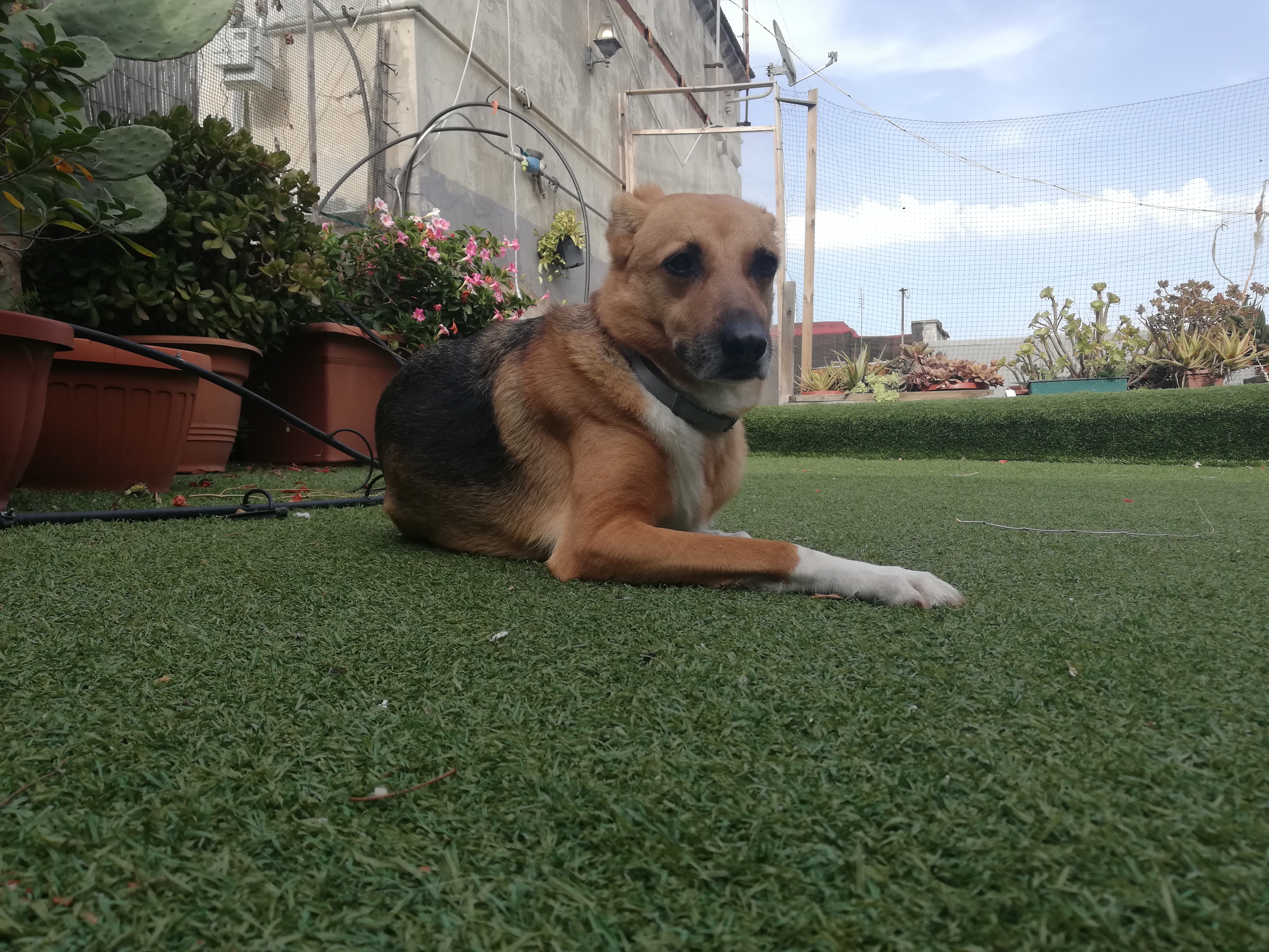 image-6