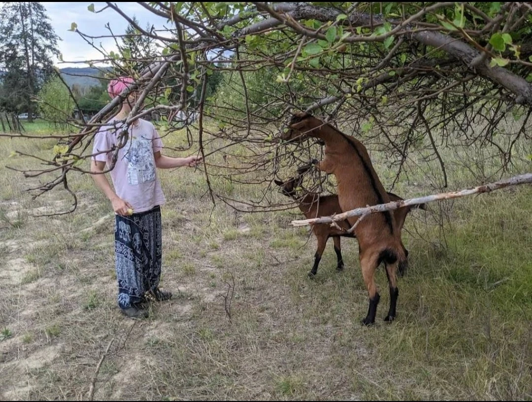 image-3