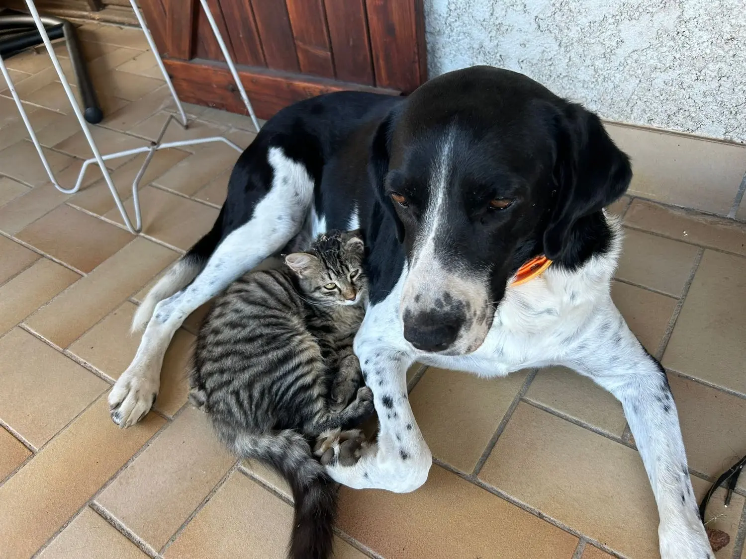 image-4