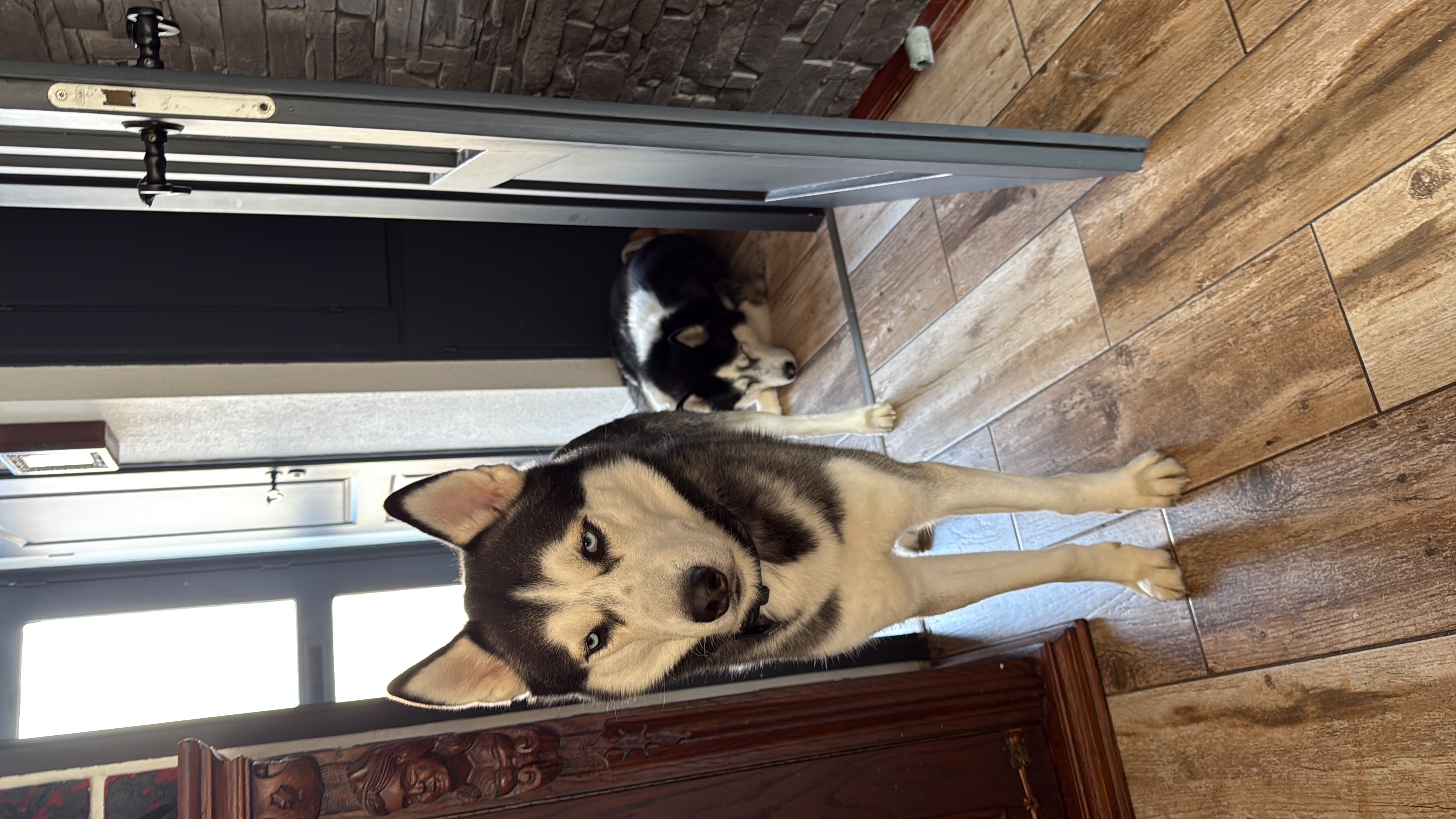 image-10