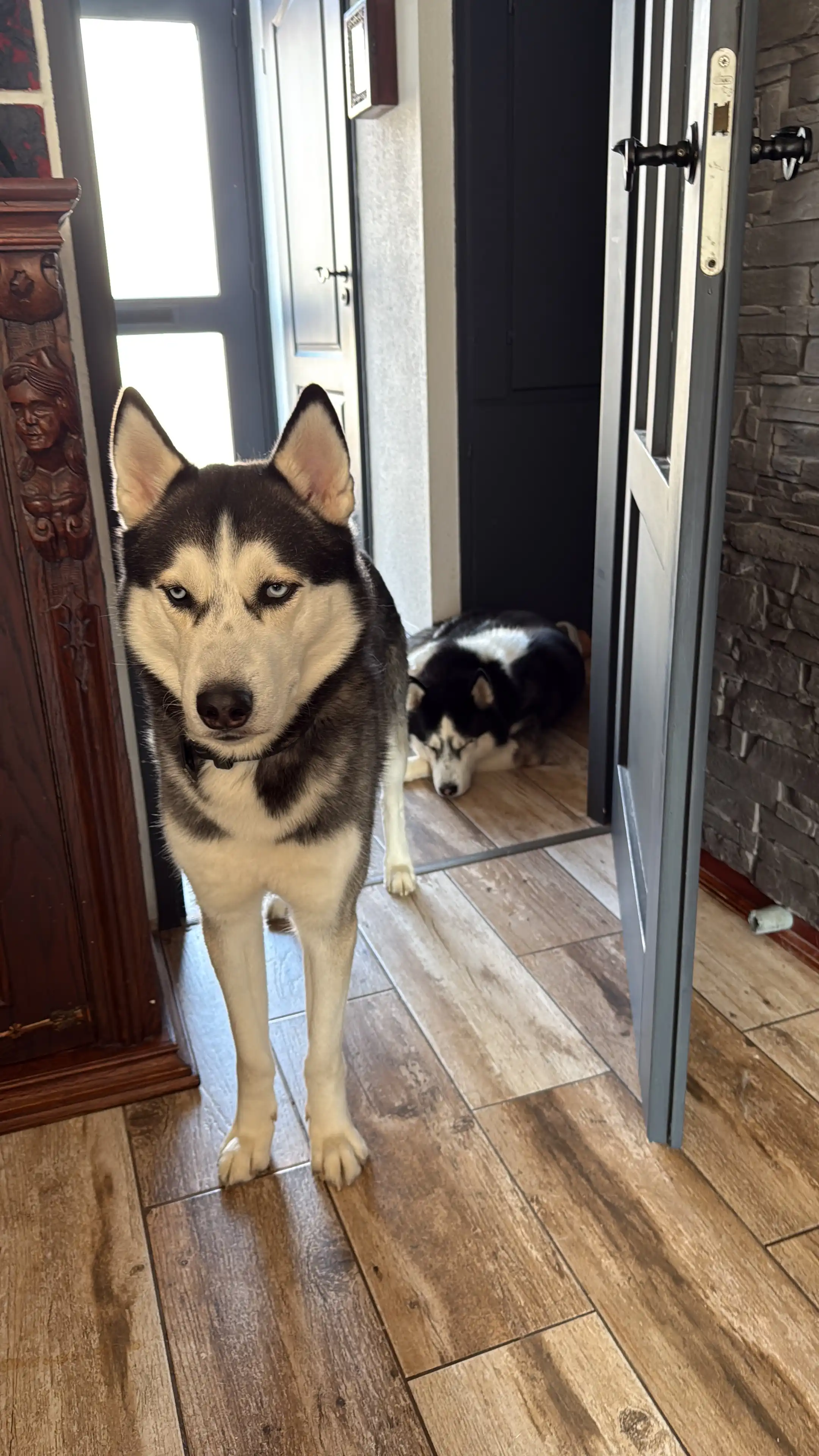 image-10