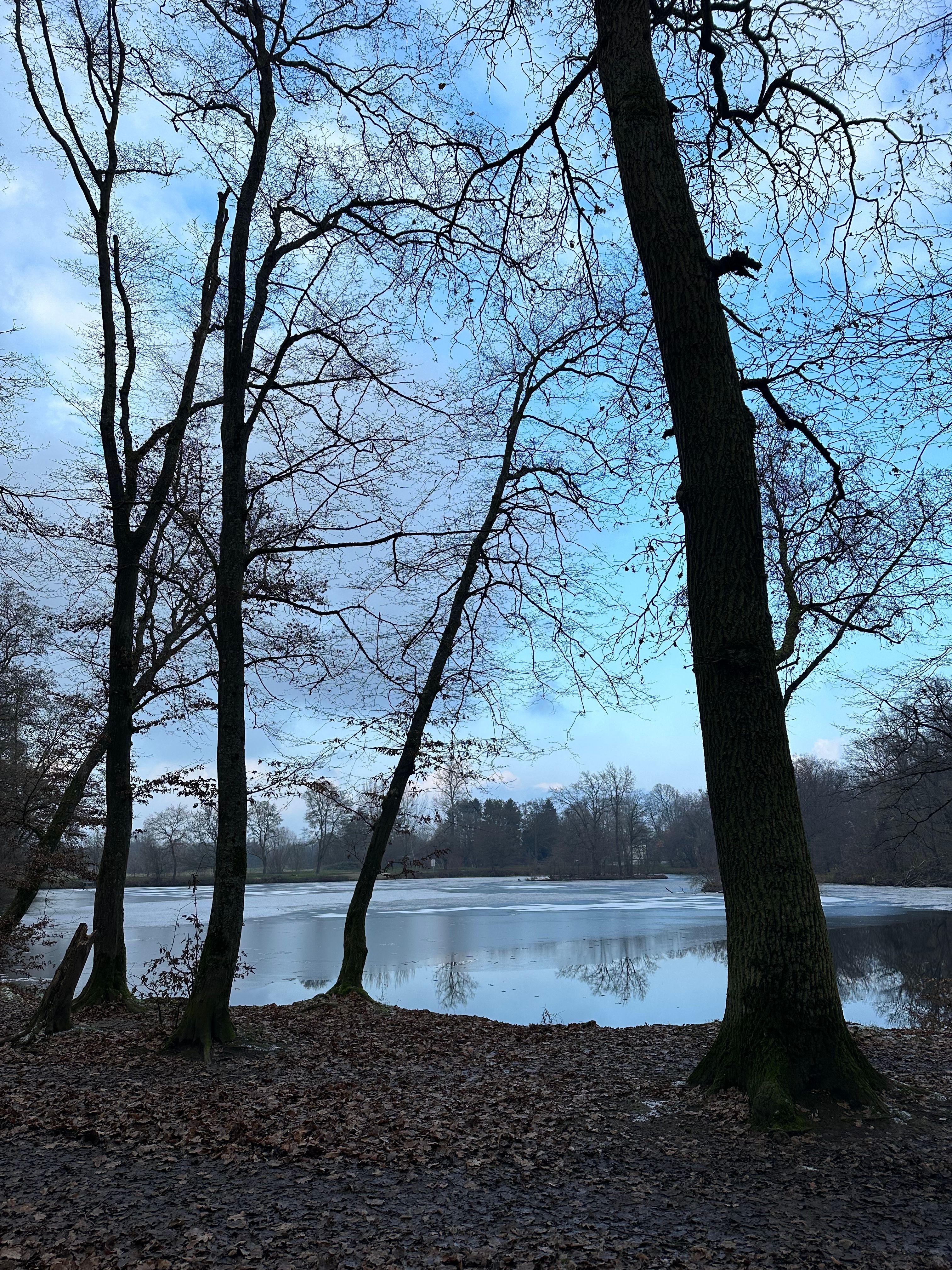 image-14