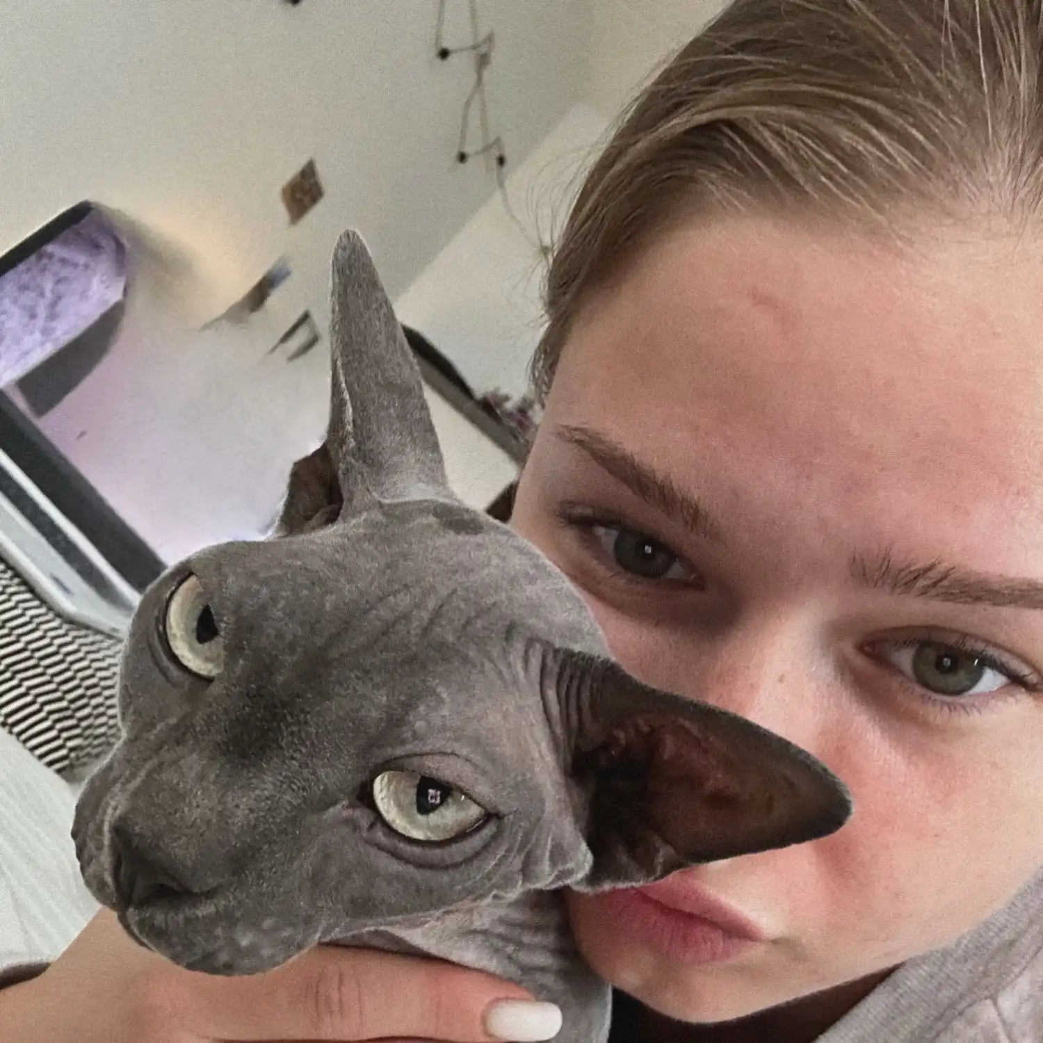 image-17