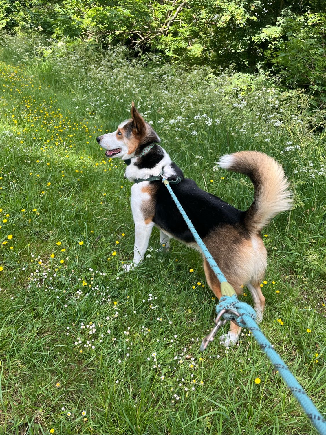 image-6