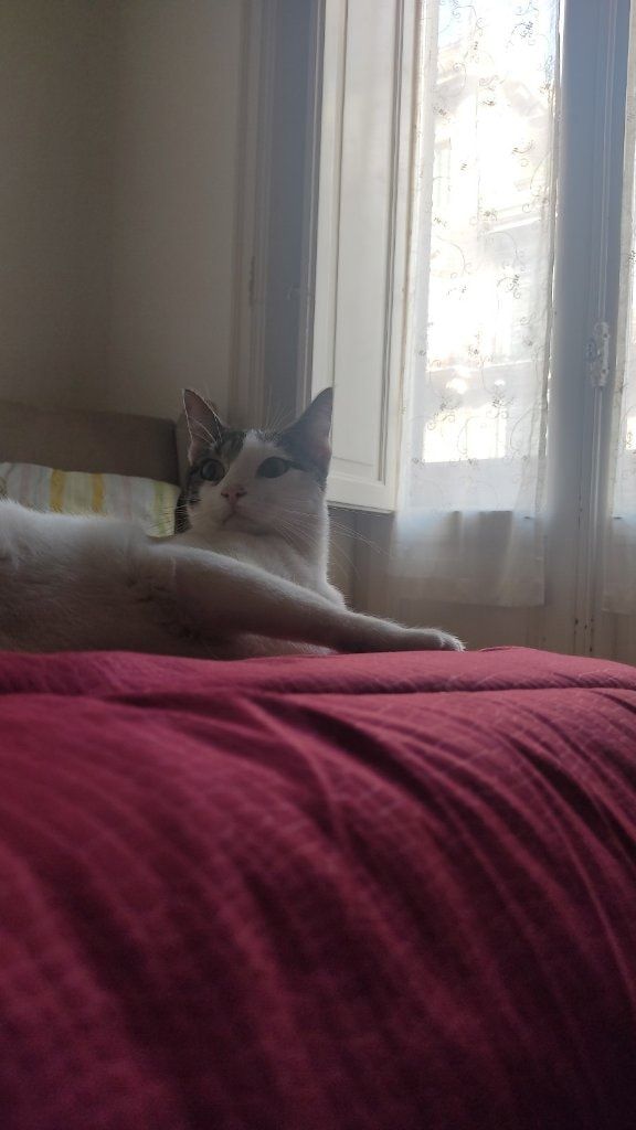 image-8