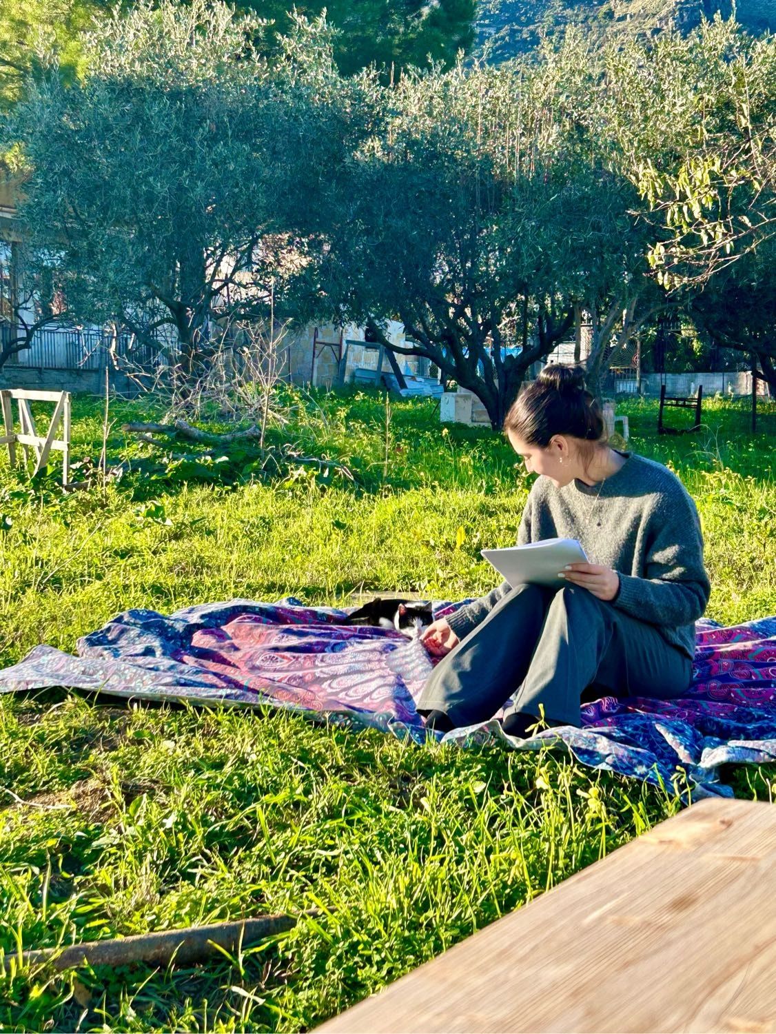 image-2