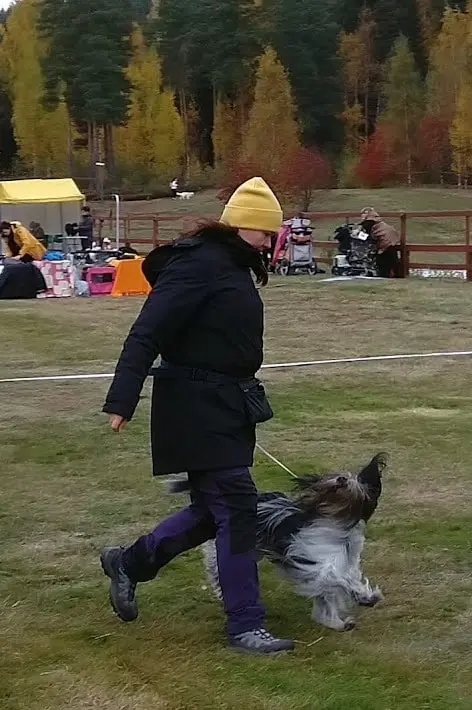 image-2