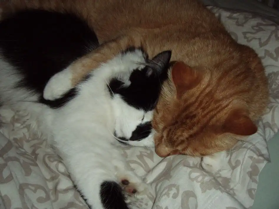 image-6