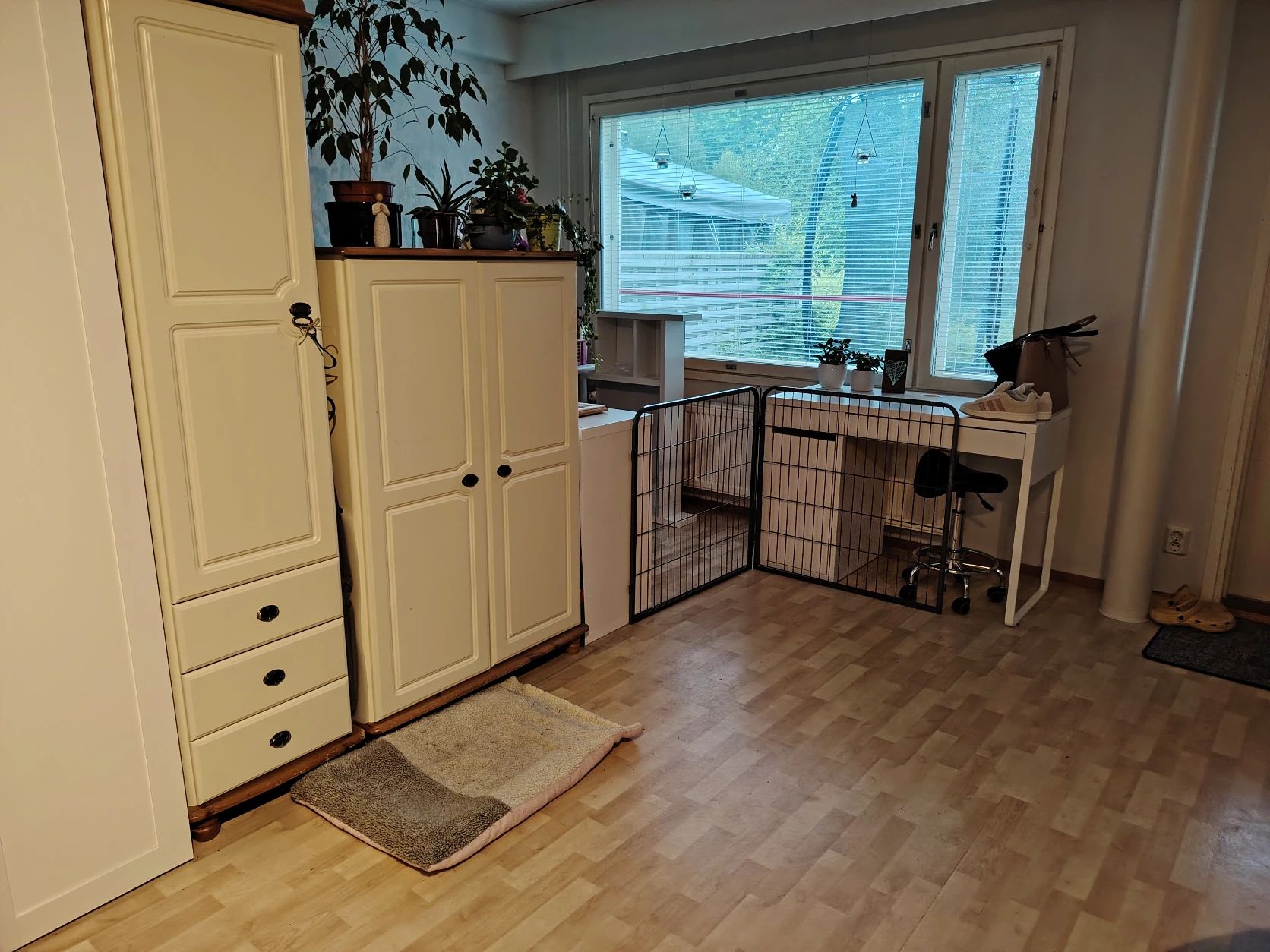 image-24