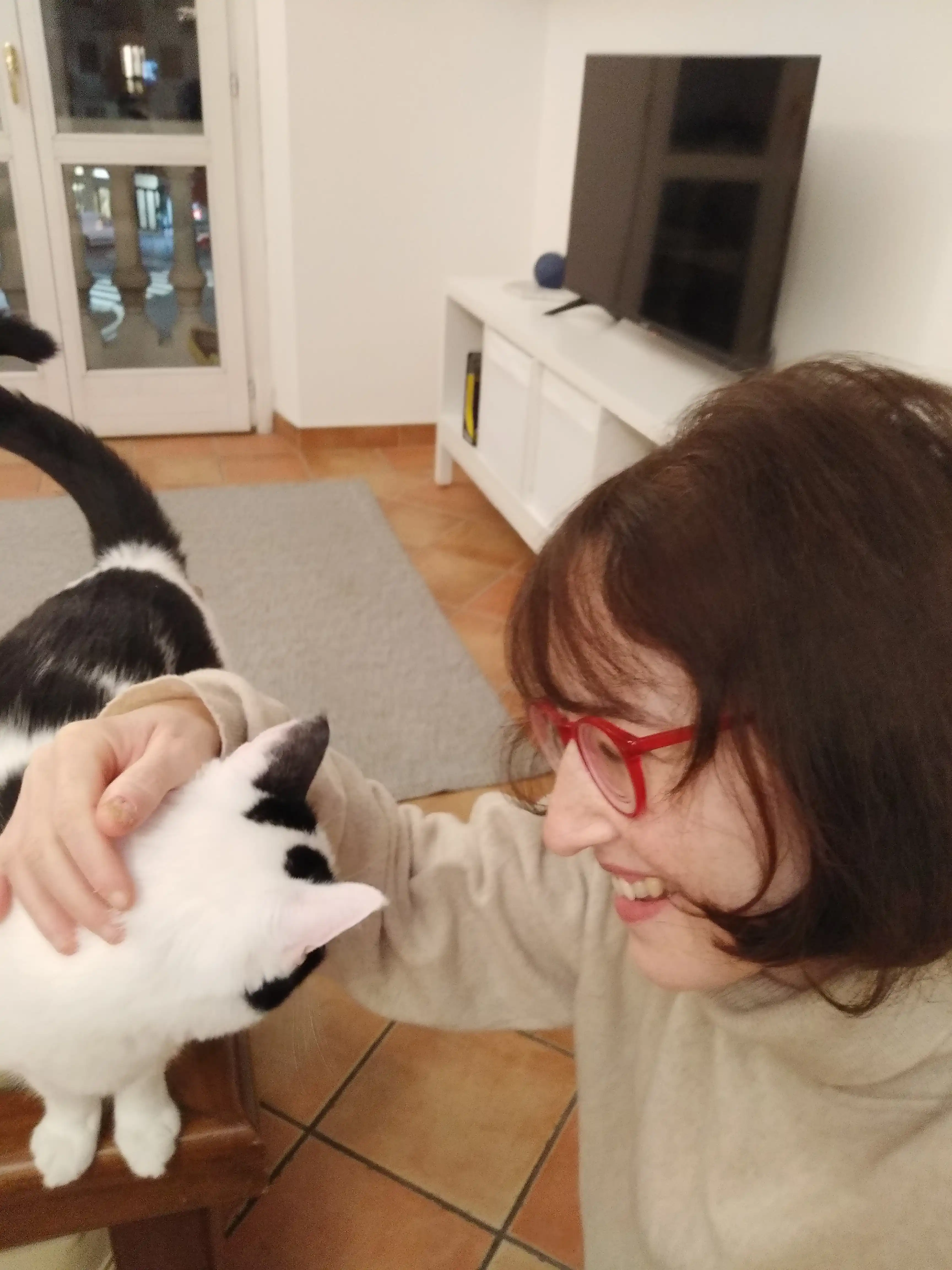image-8