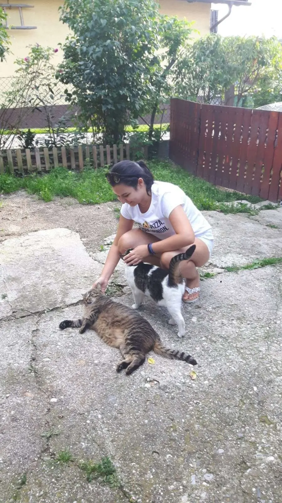 image-3