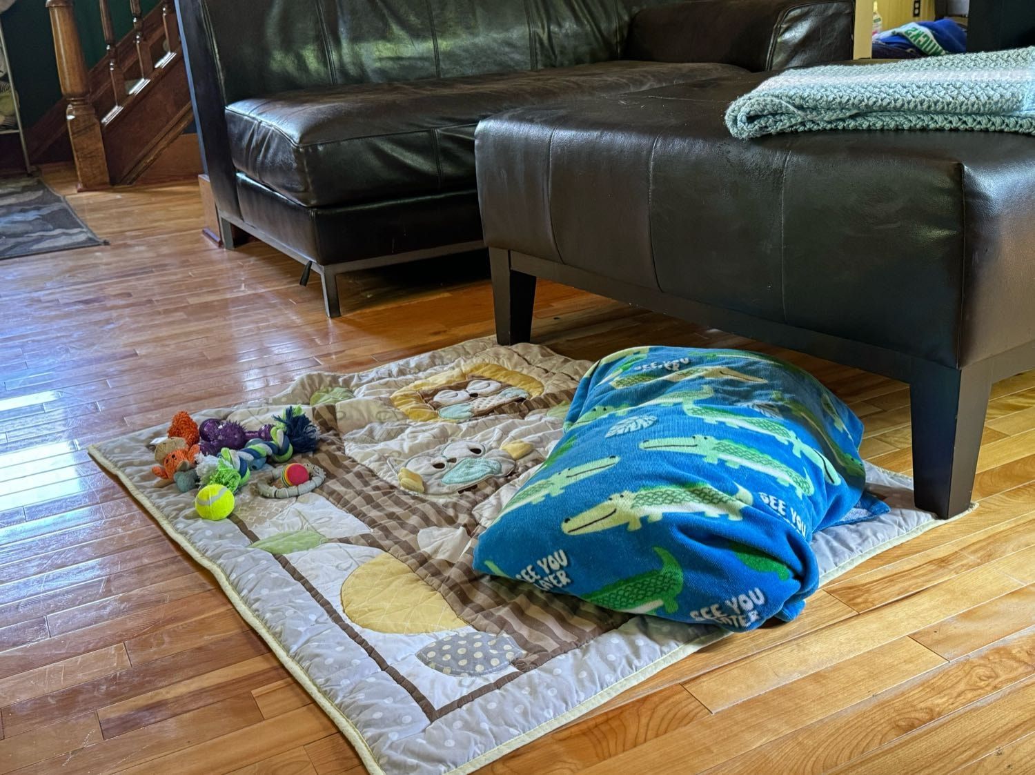 image-6