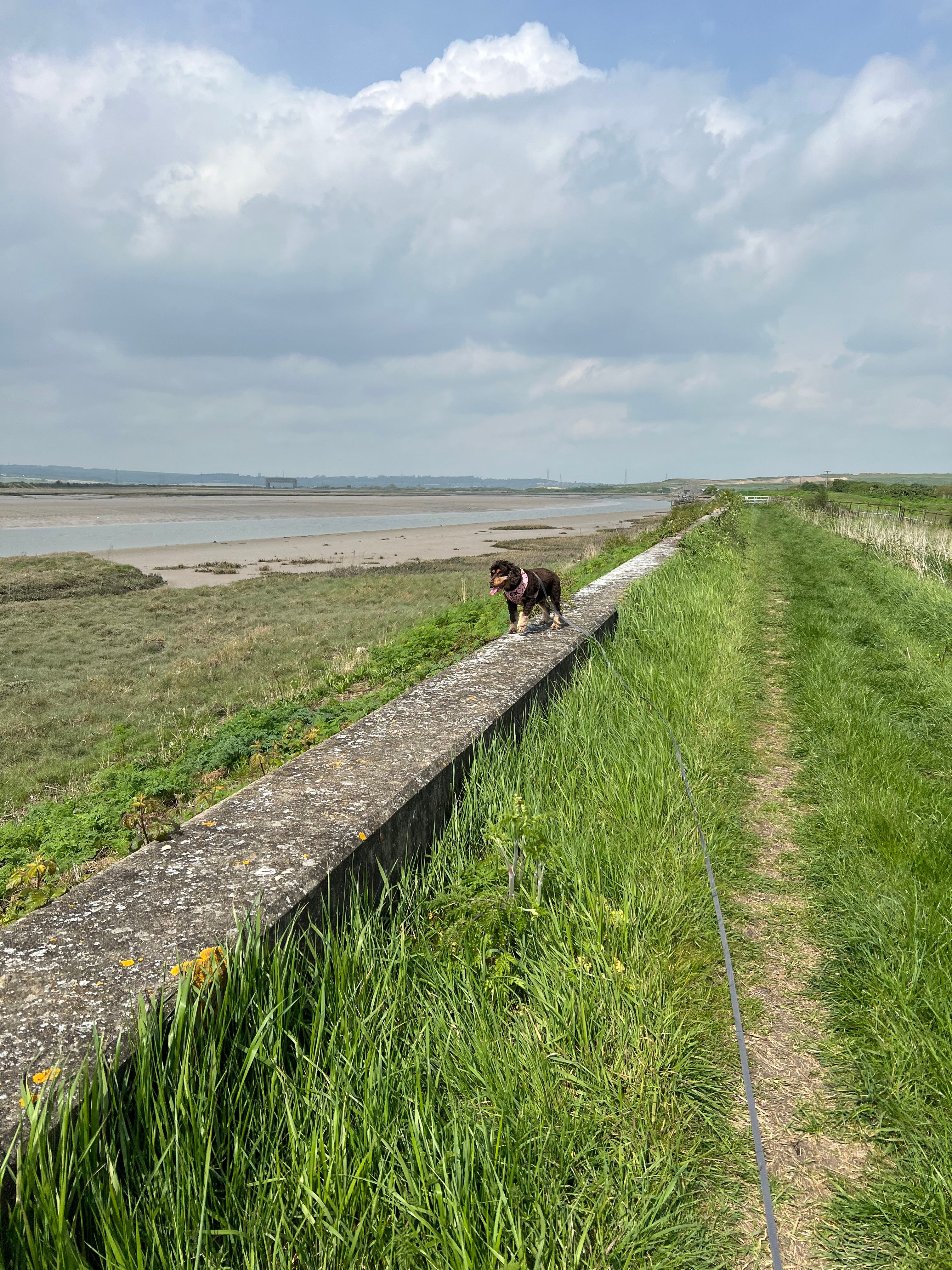 image-20