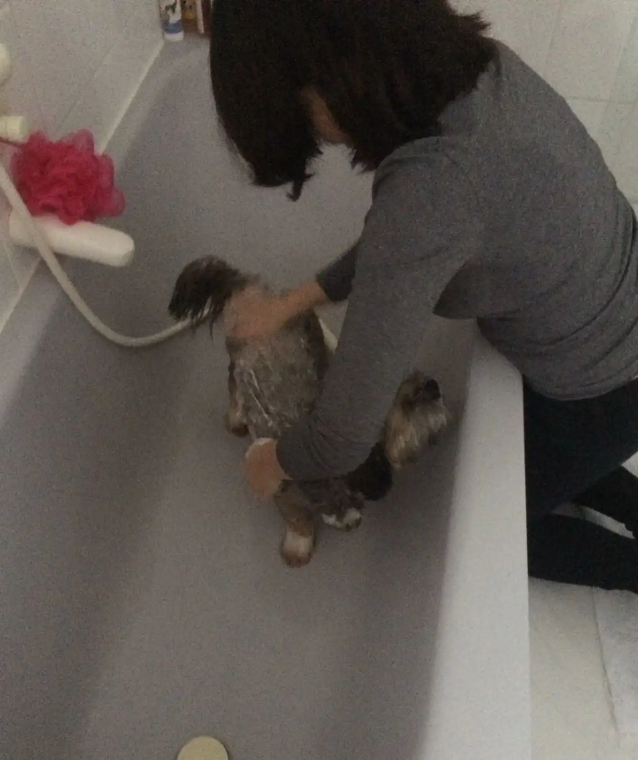 image-11