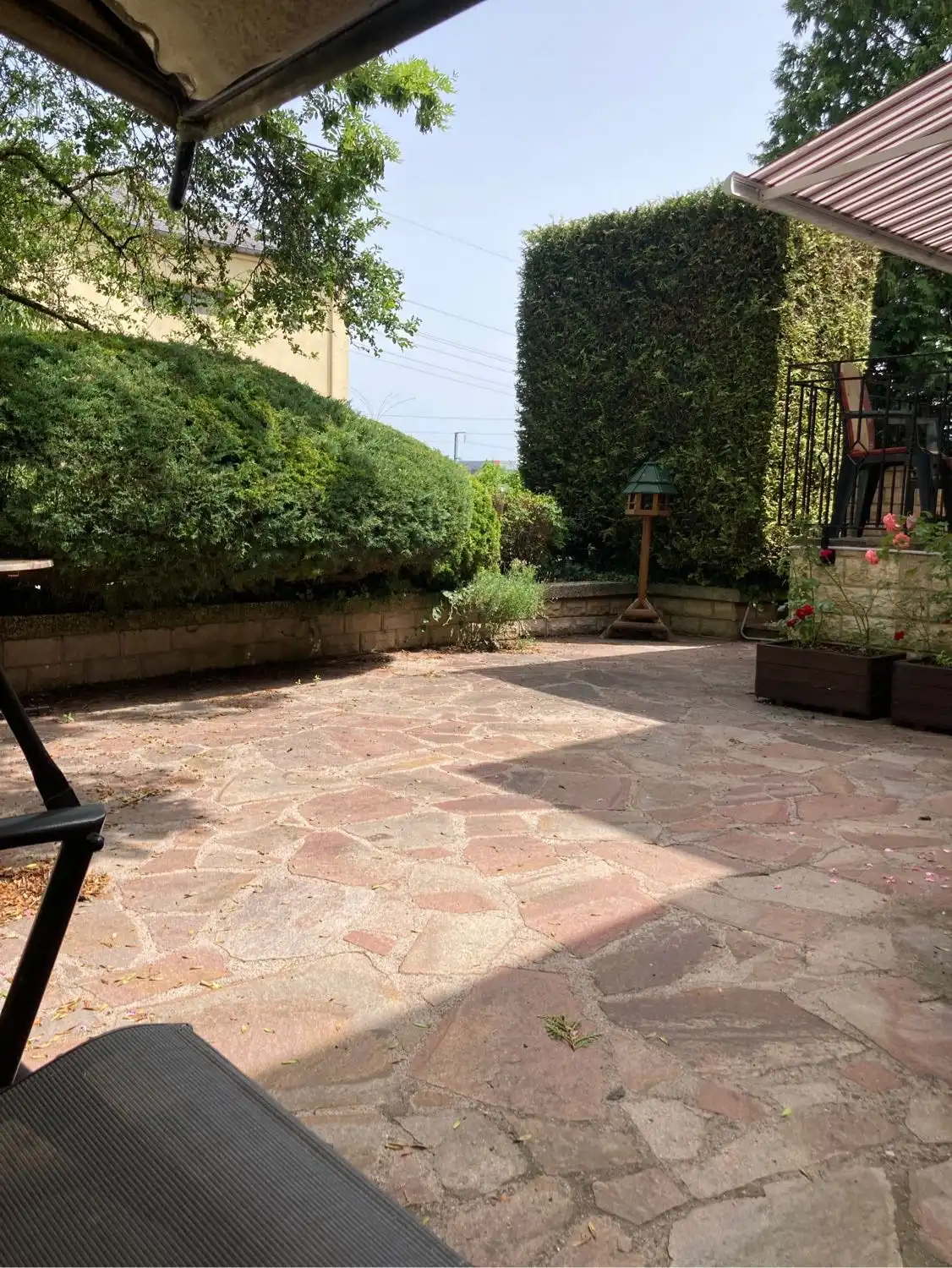 image-7