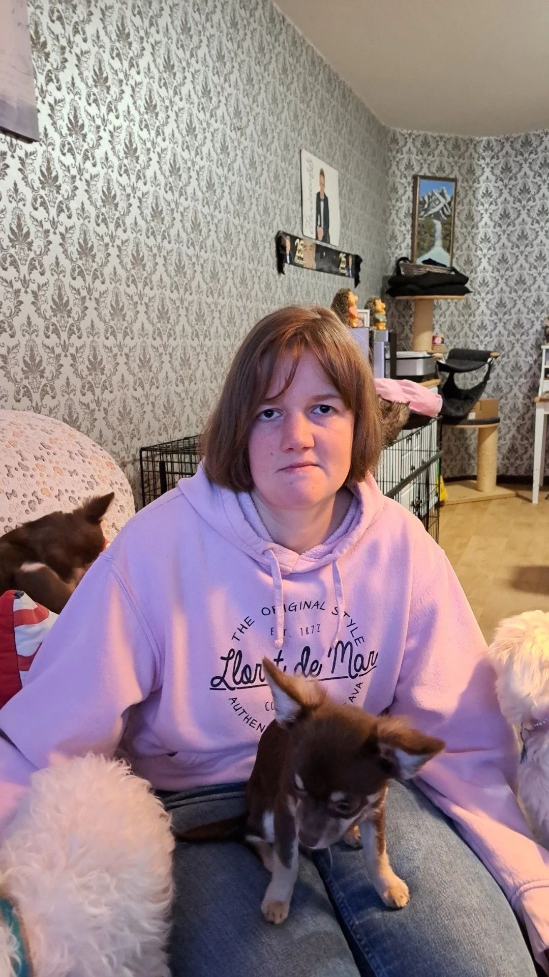 image-11
