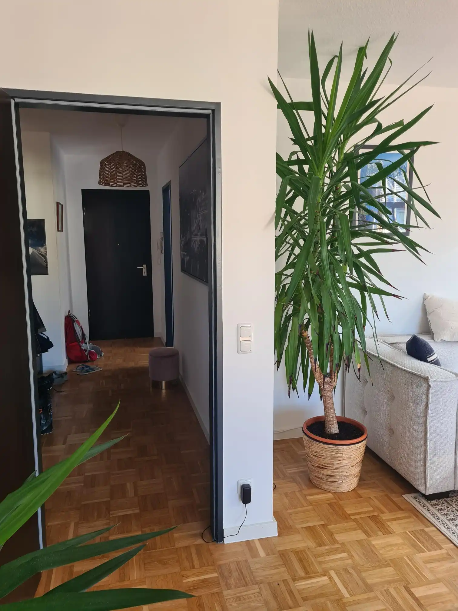 image-19