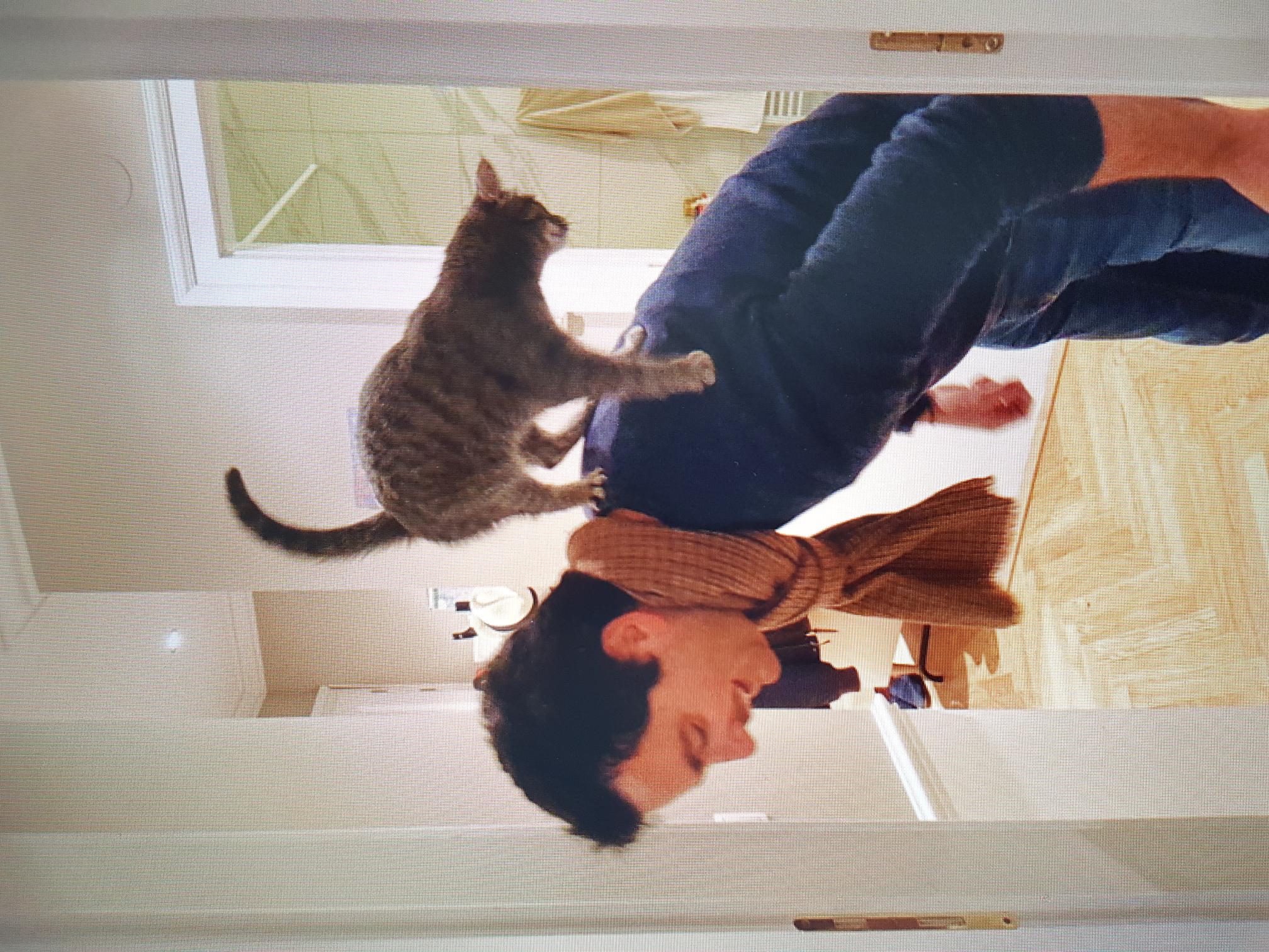 image-5