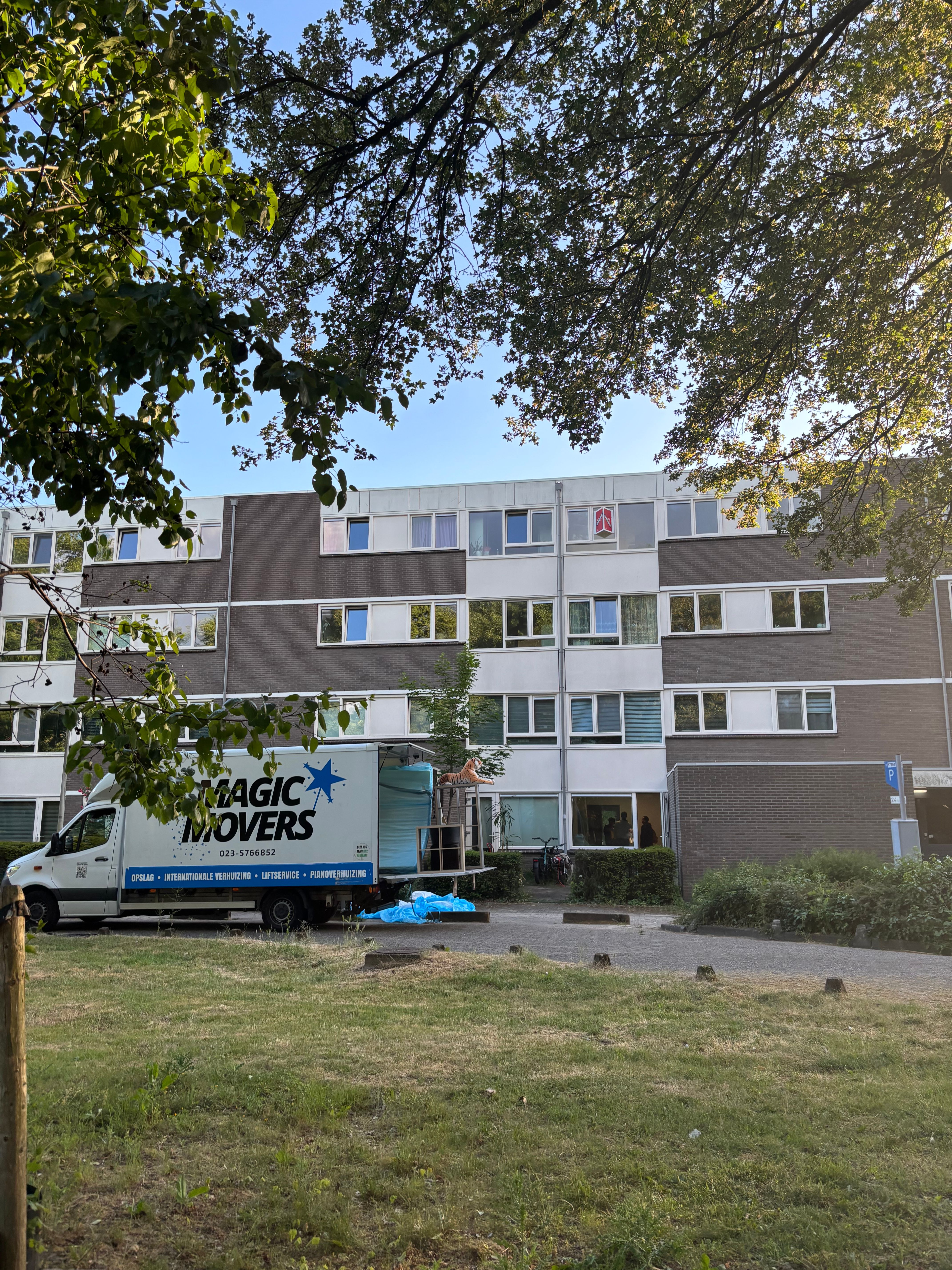 image-16