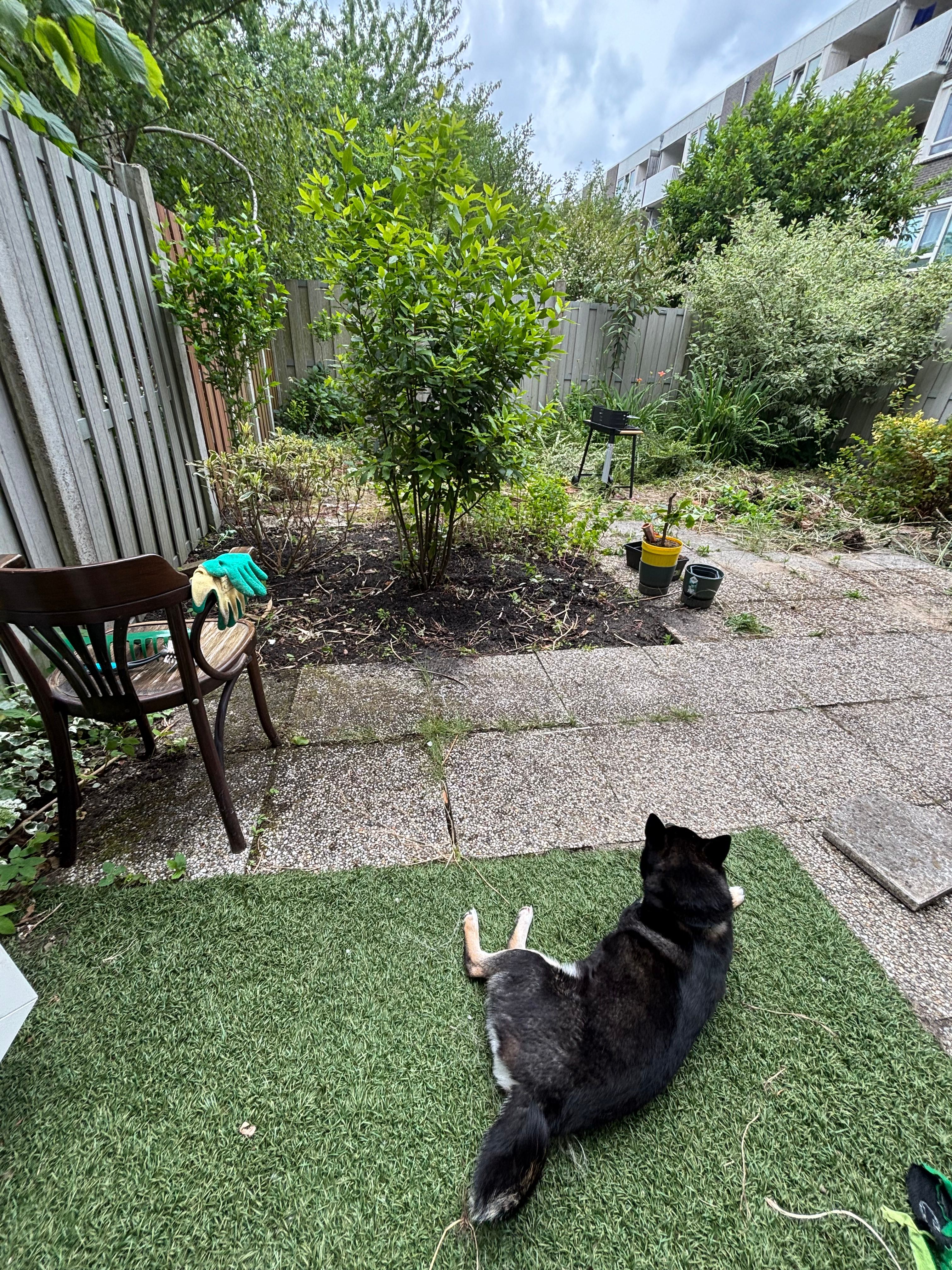 image-18