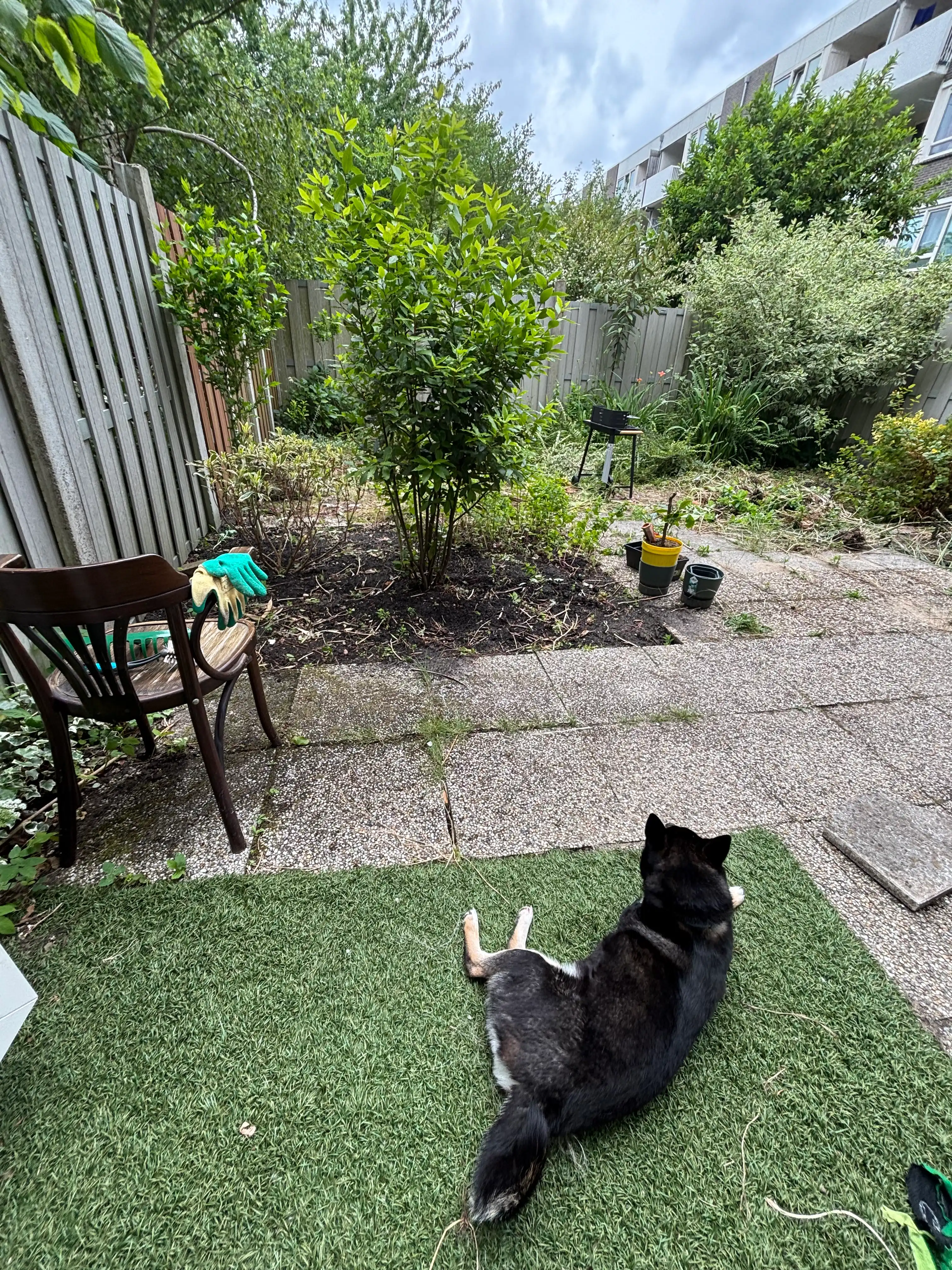 image-18