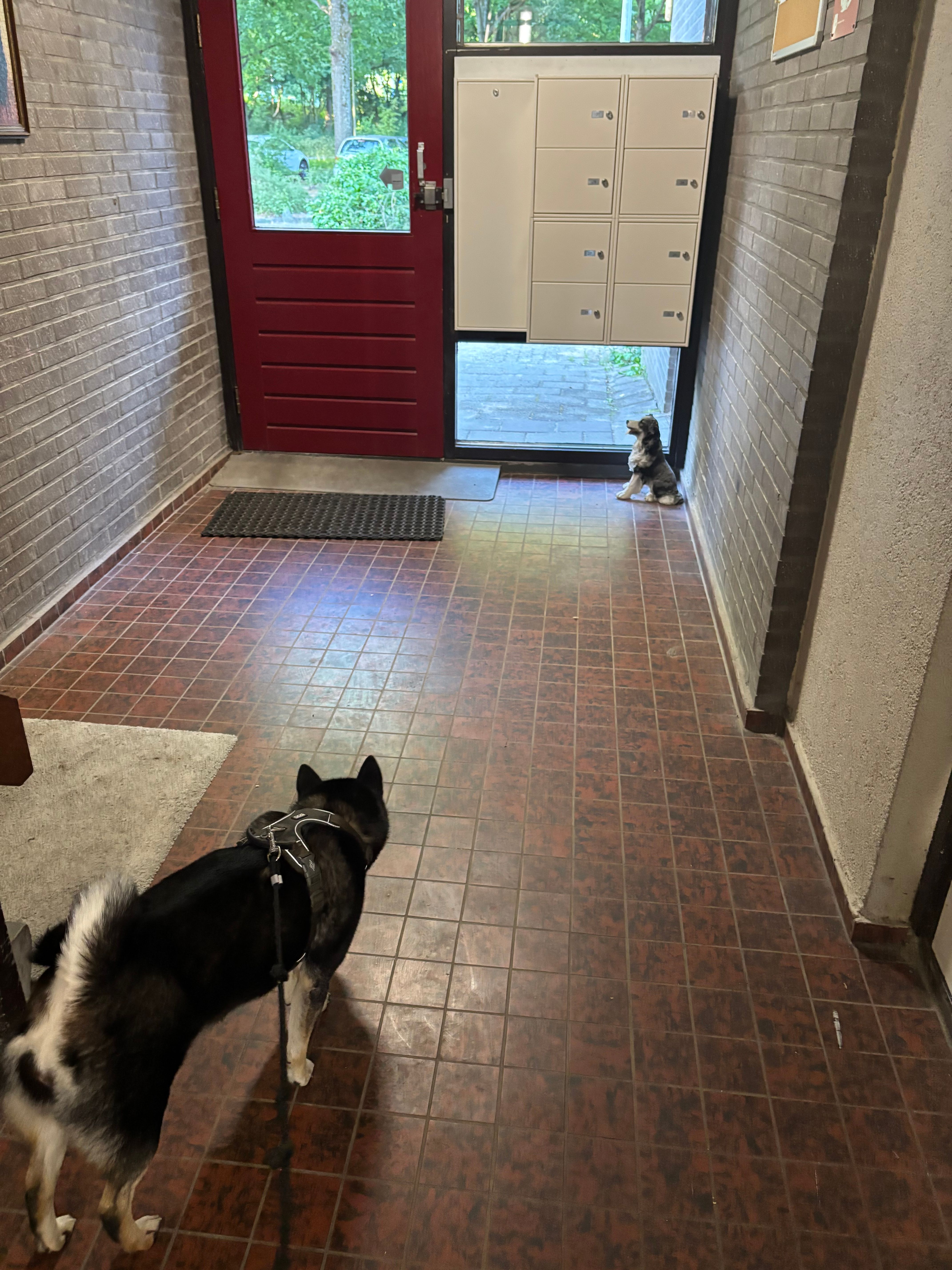 image-14