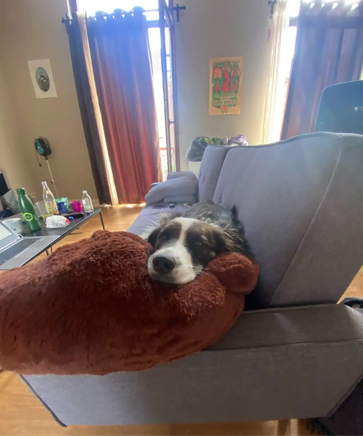 image-6