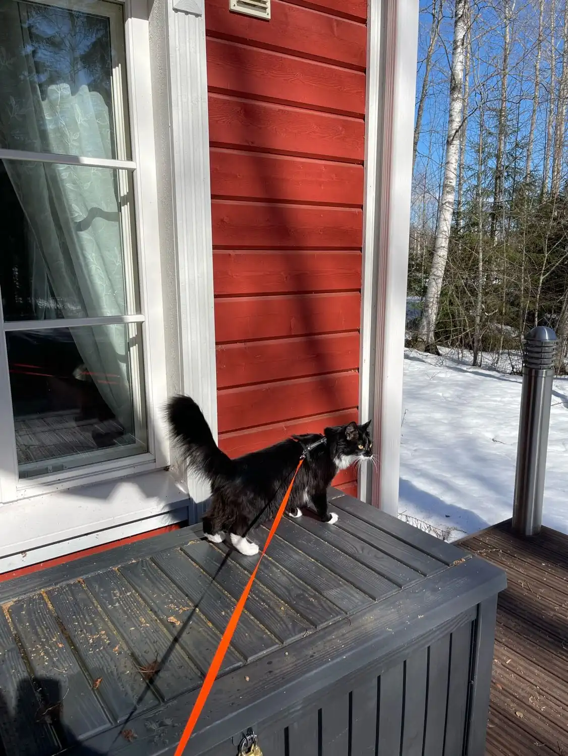 image-9