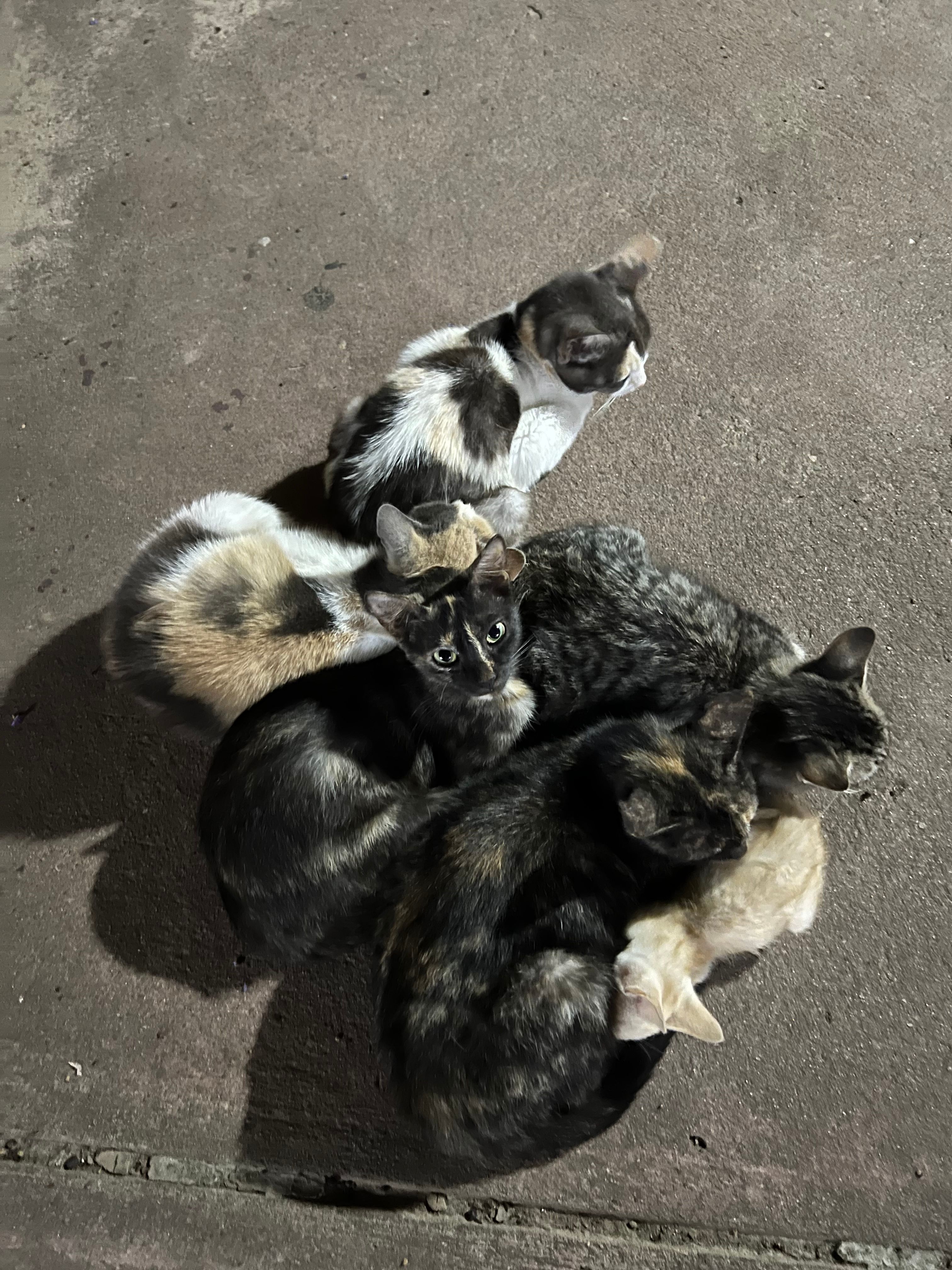 image-11