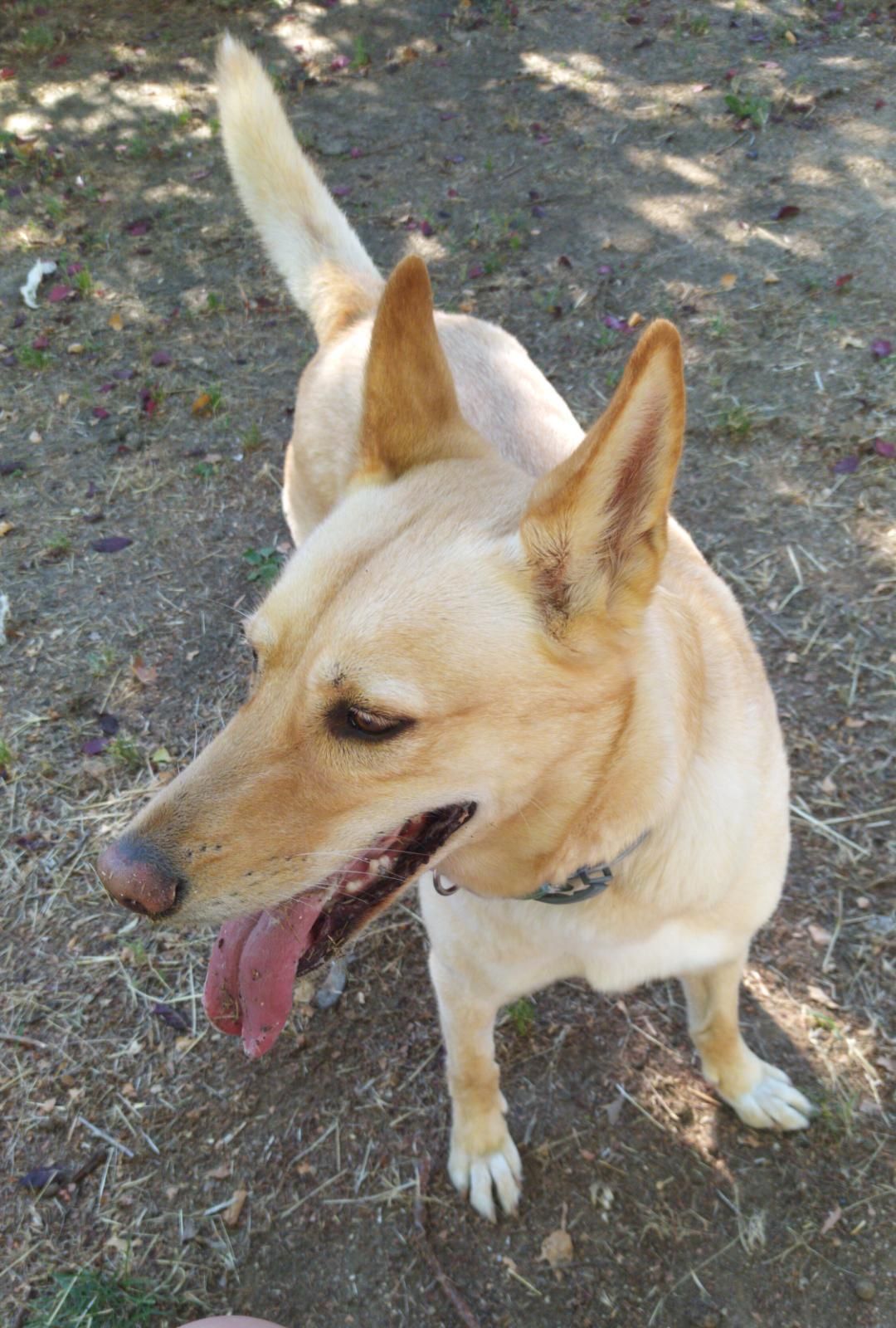 image-4