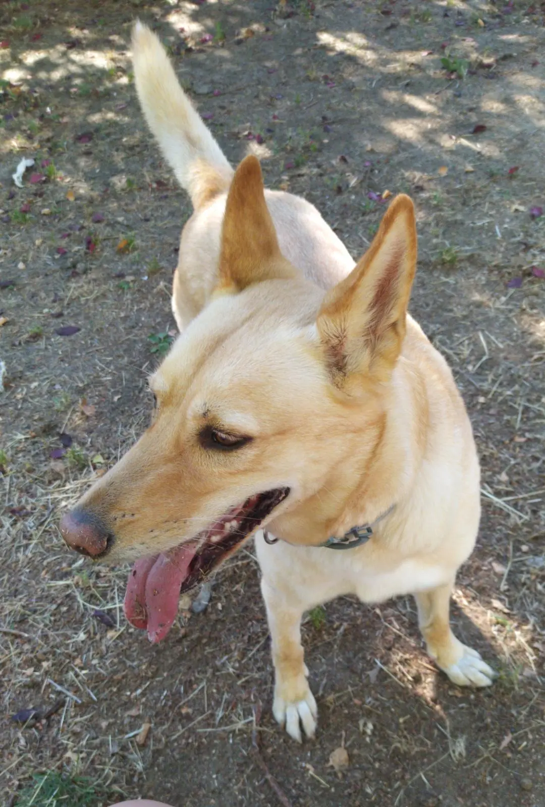 image-4