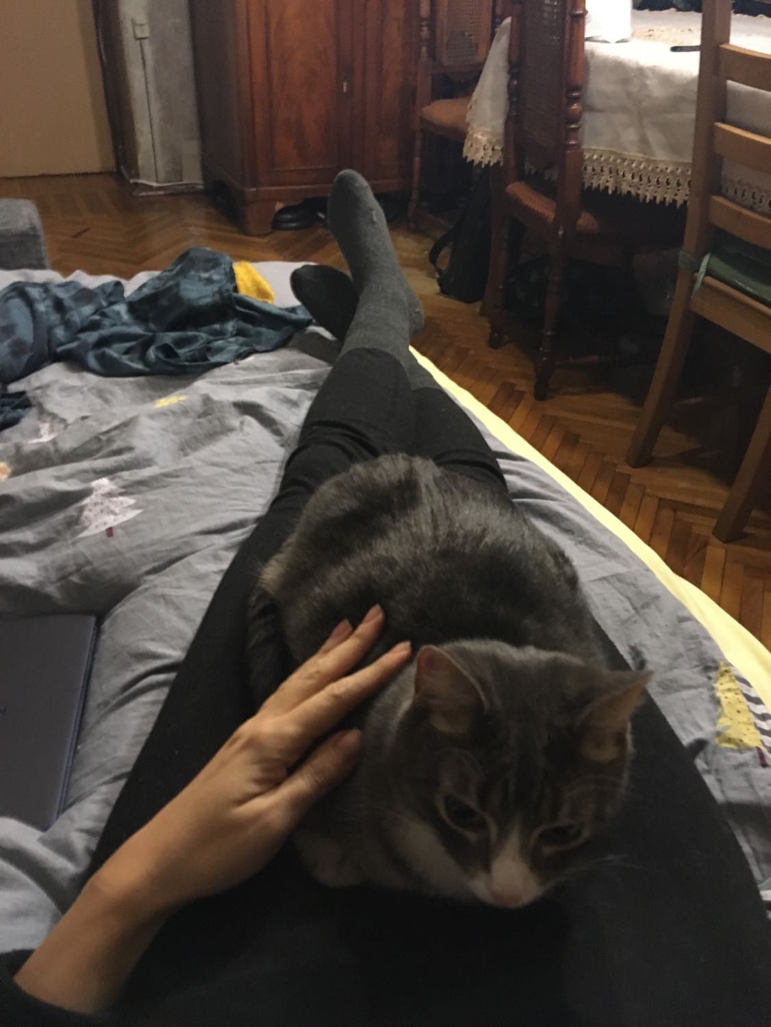 image-12