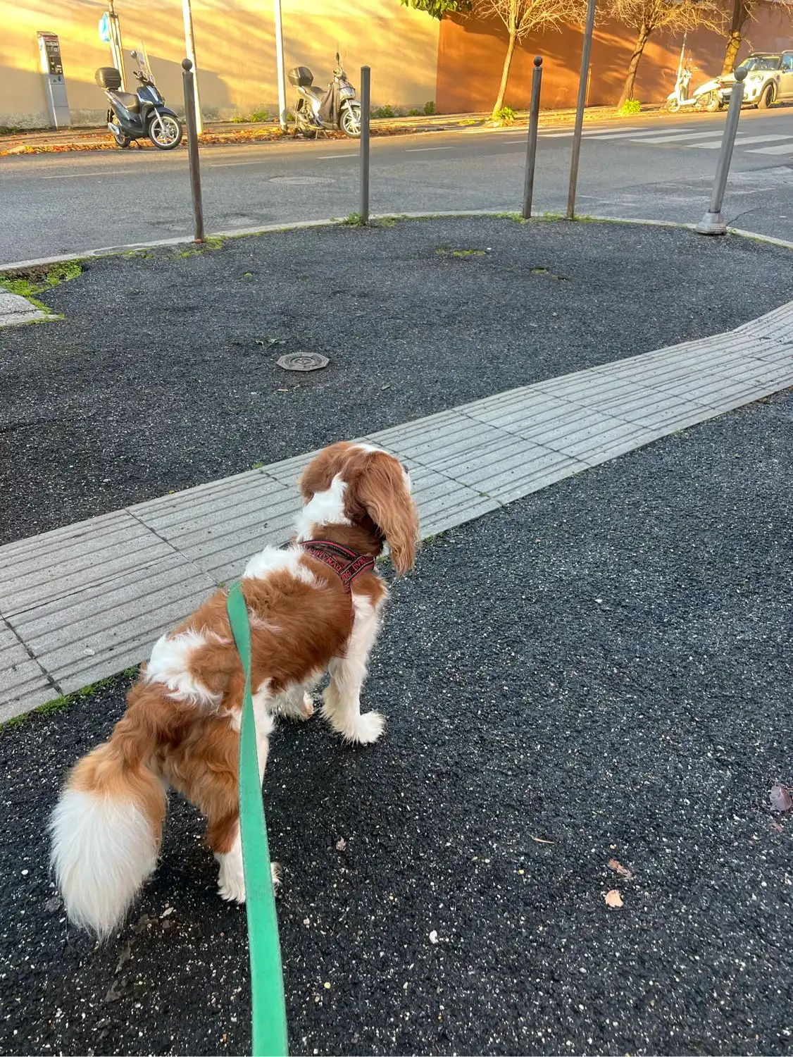 image-5
