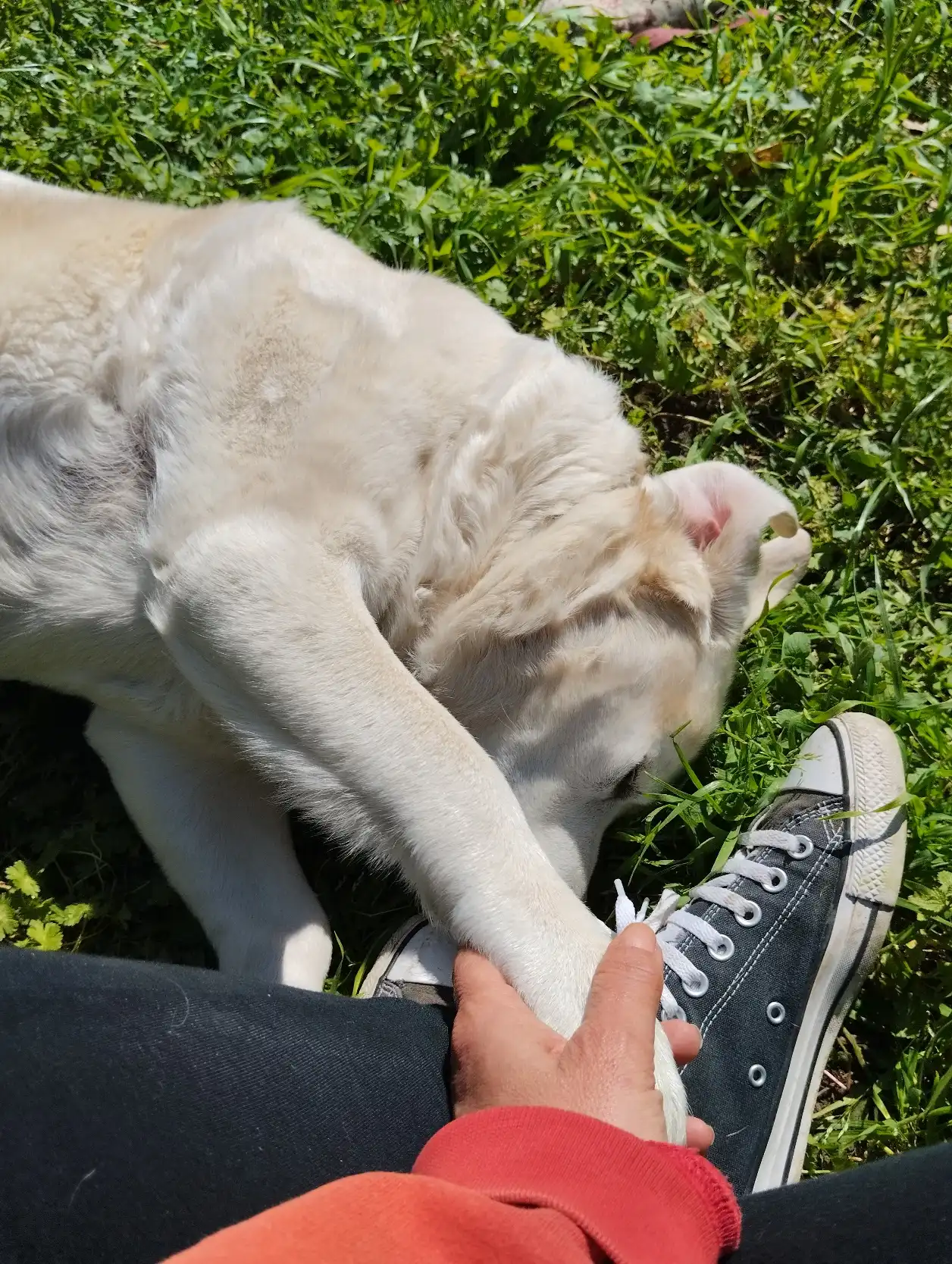 image-5
