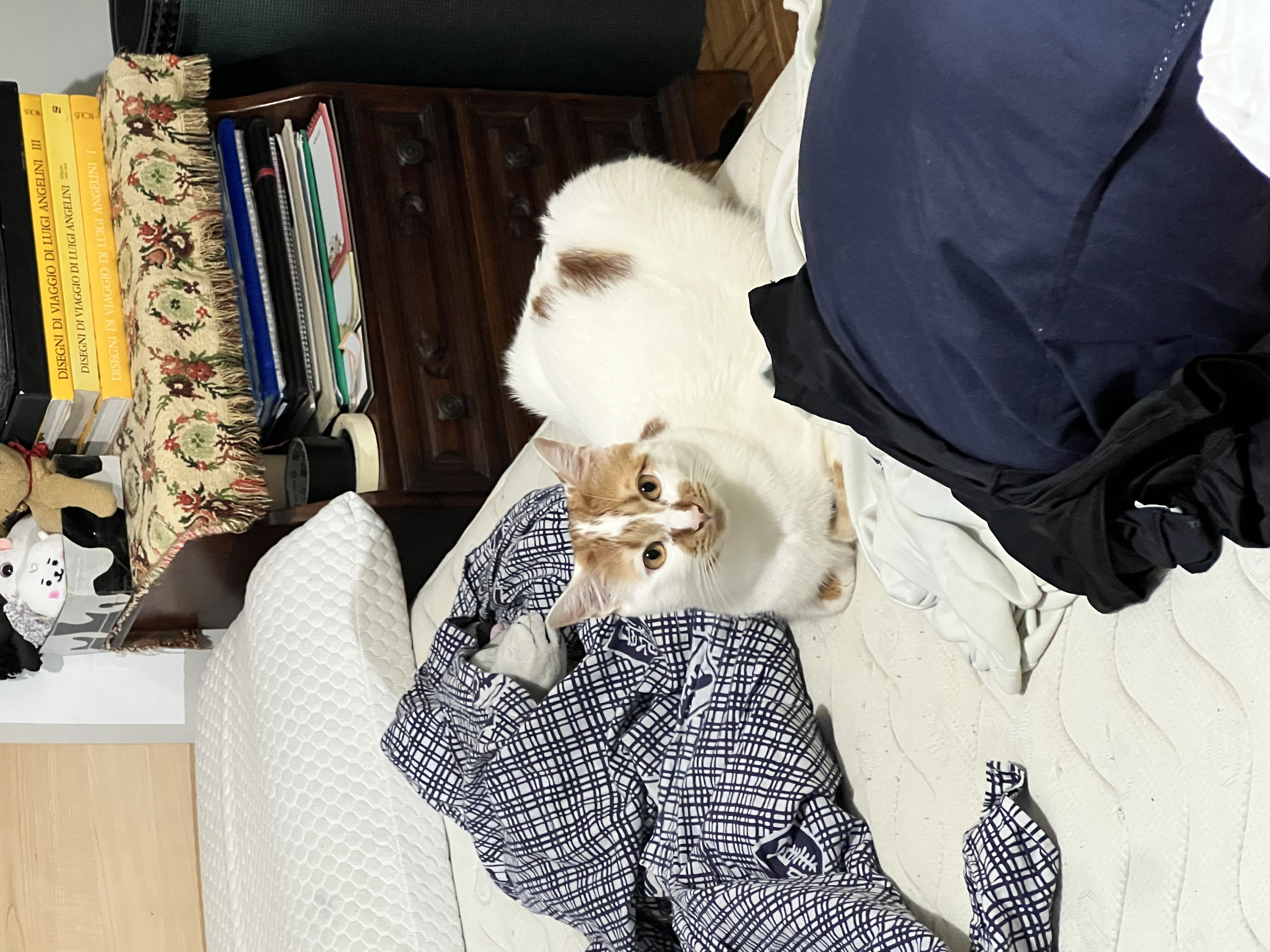 image-8
