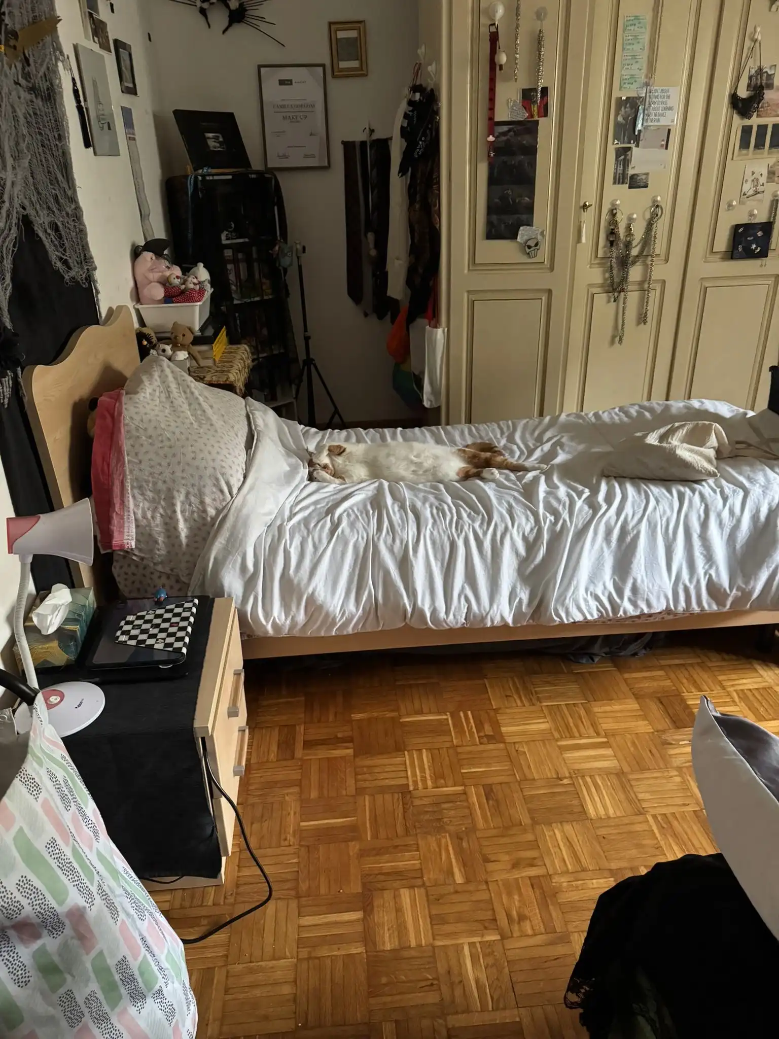 image-15