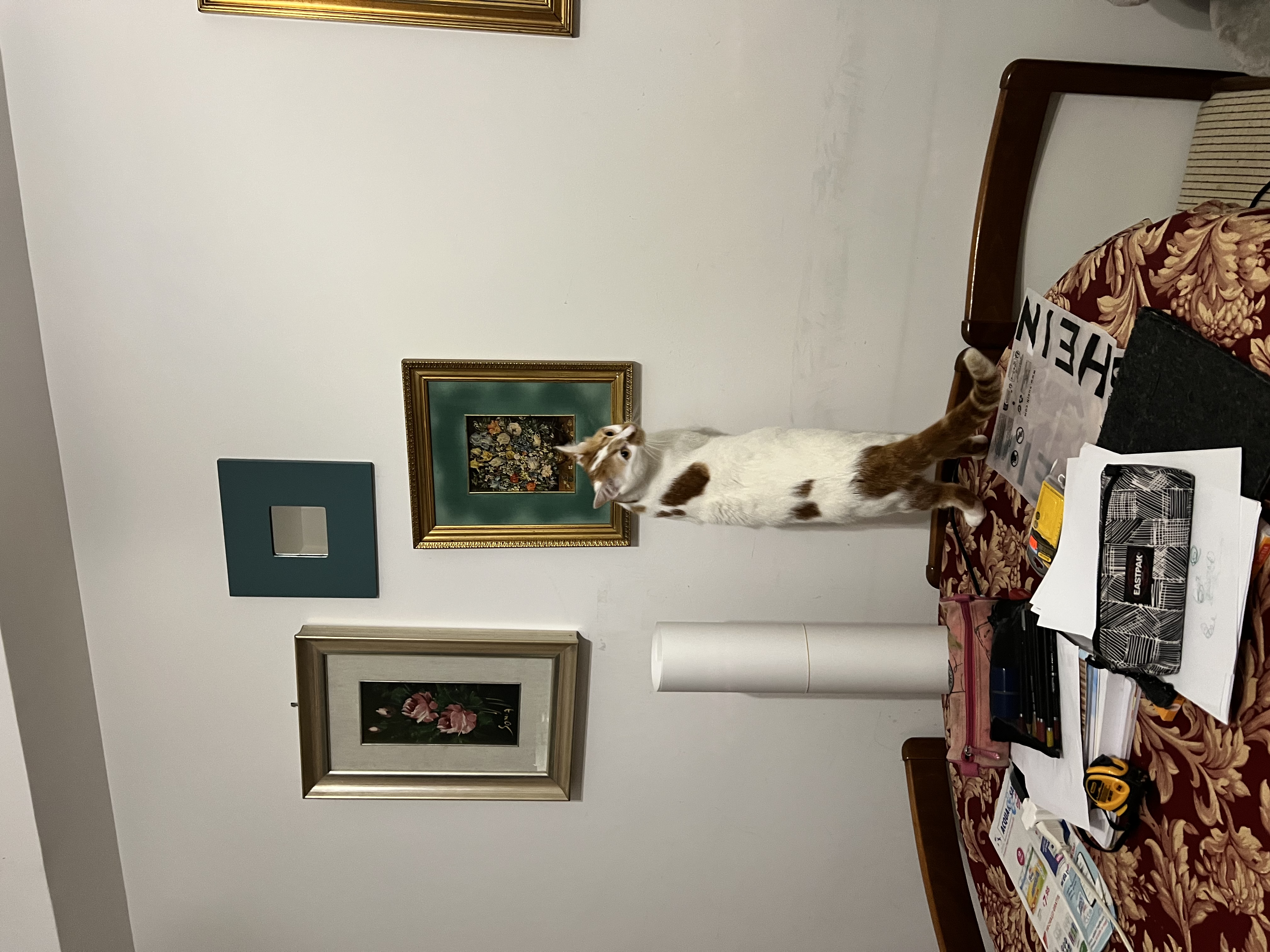 image-17