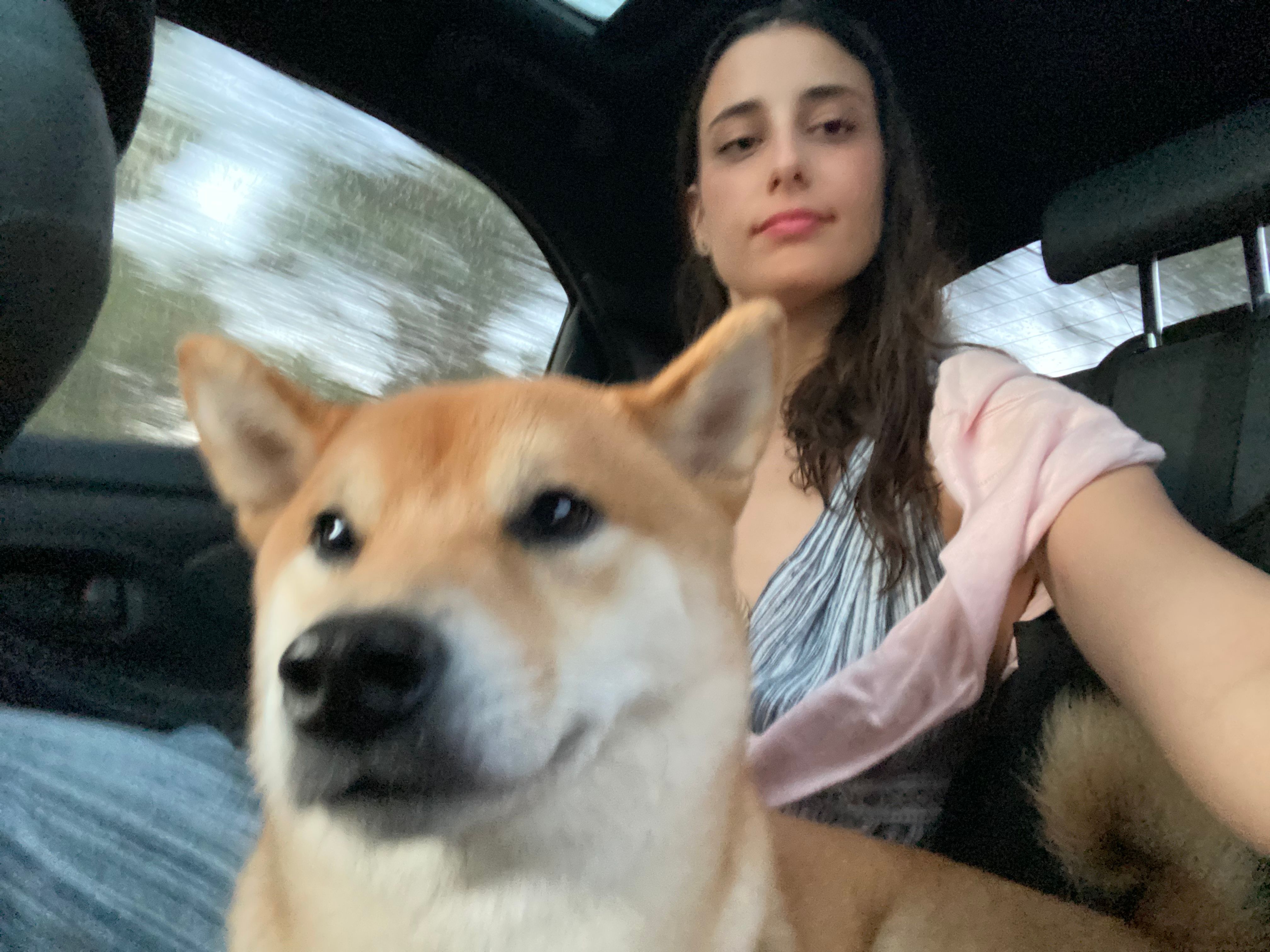 image-5