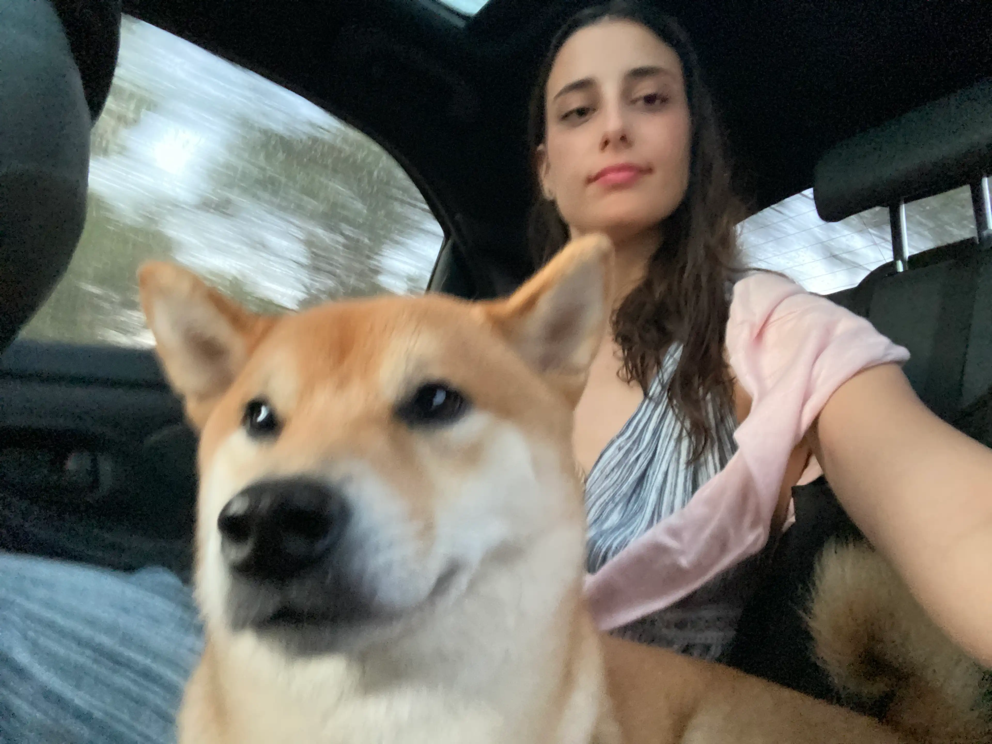 image-5