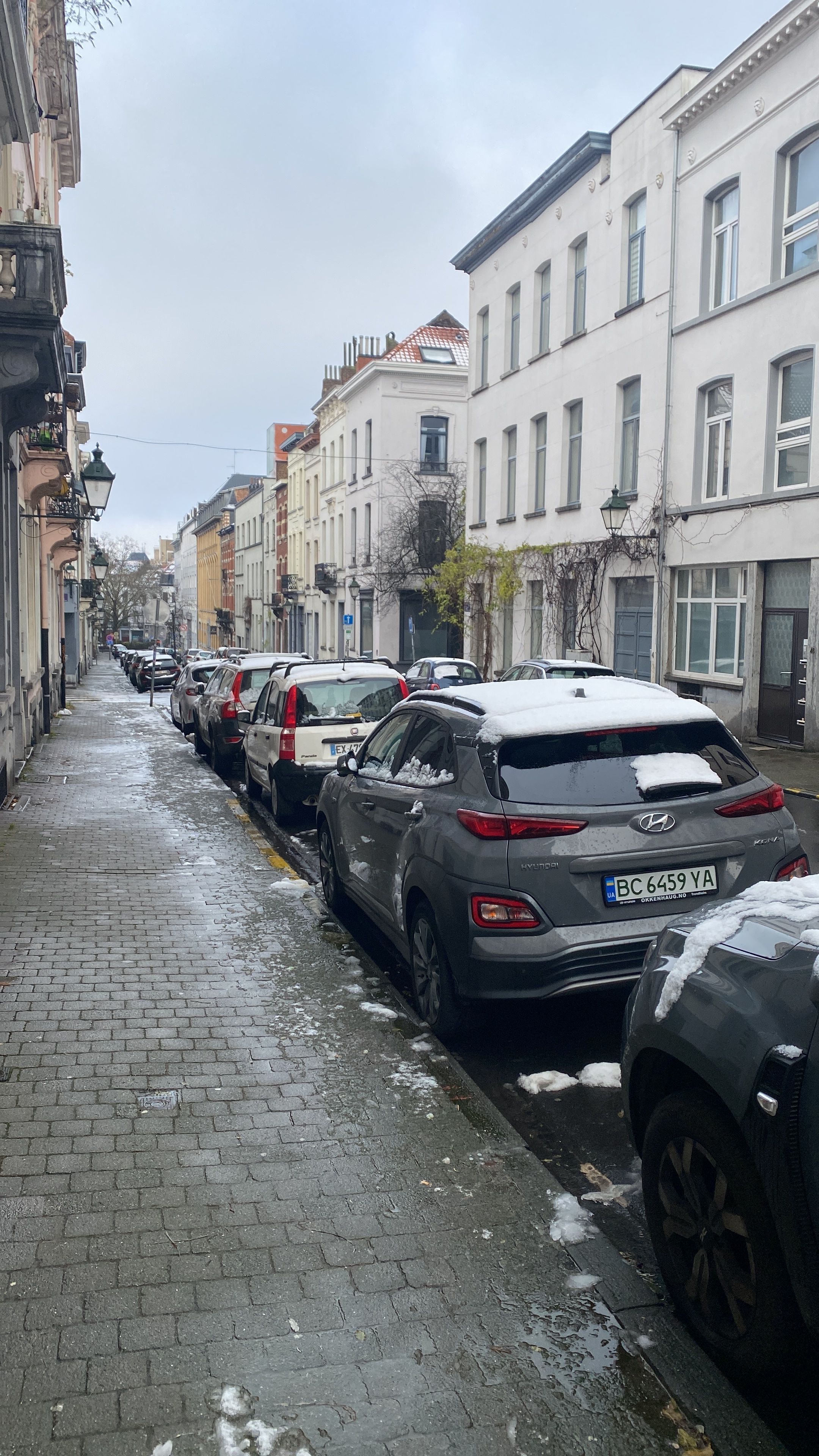 image-19