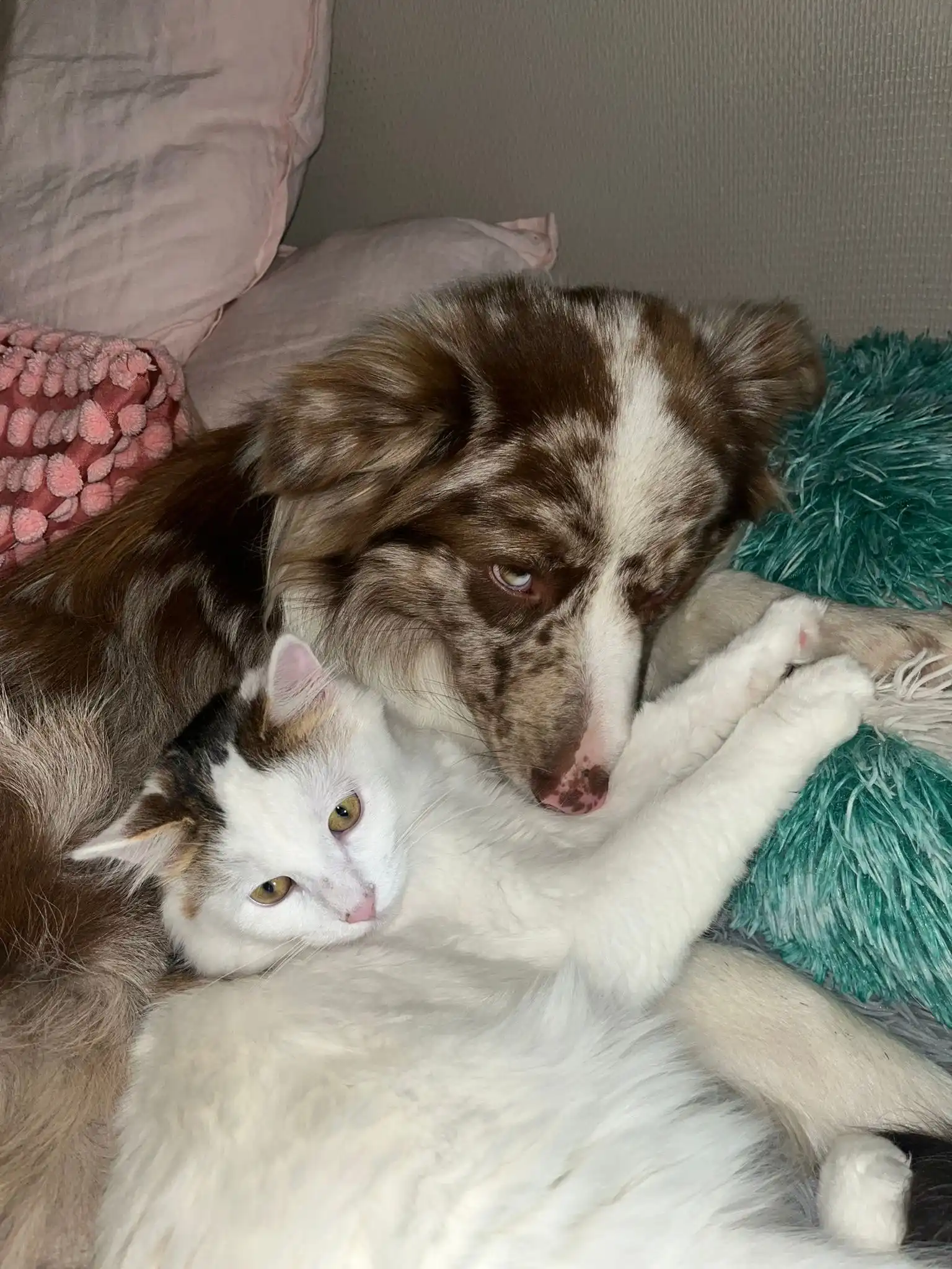 image-8
